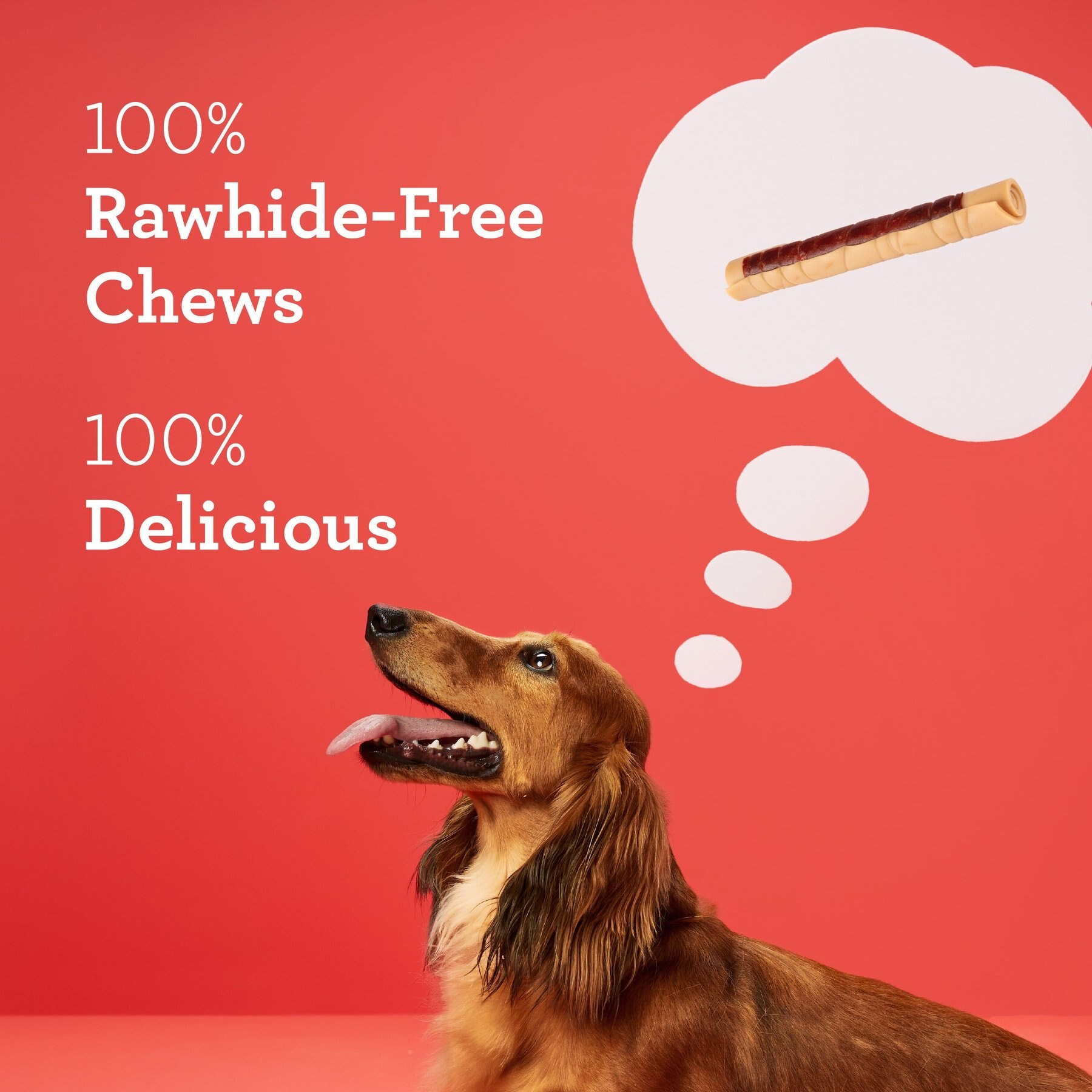 DreamBone DreamSticks Chicken Chews Dog Treats