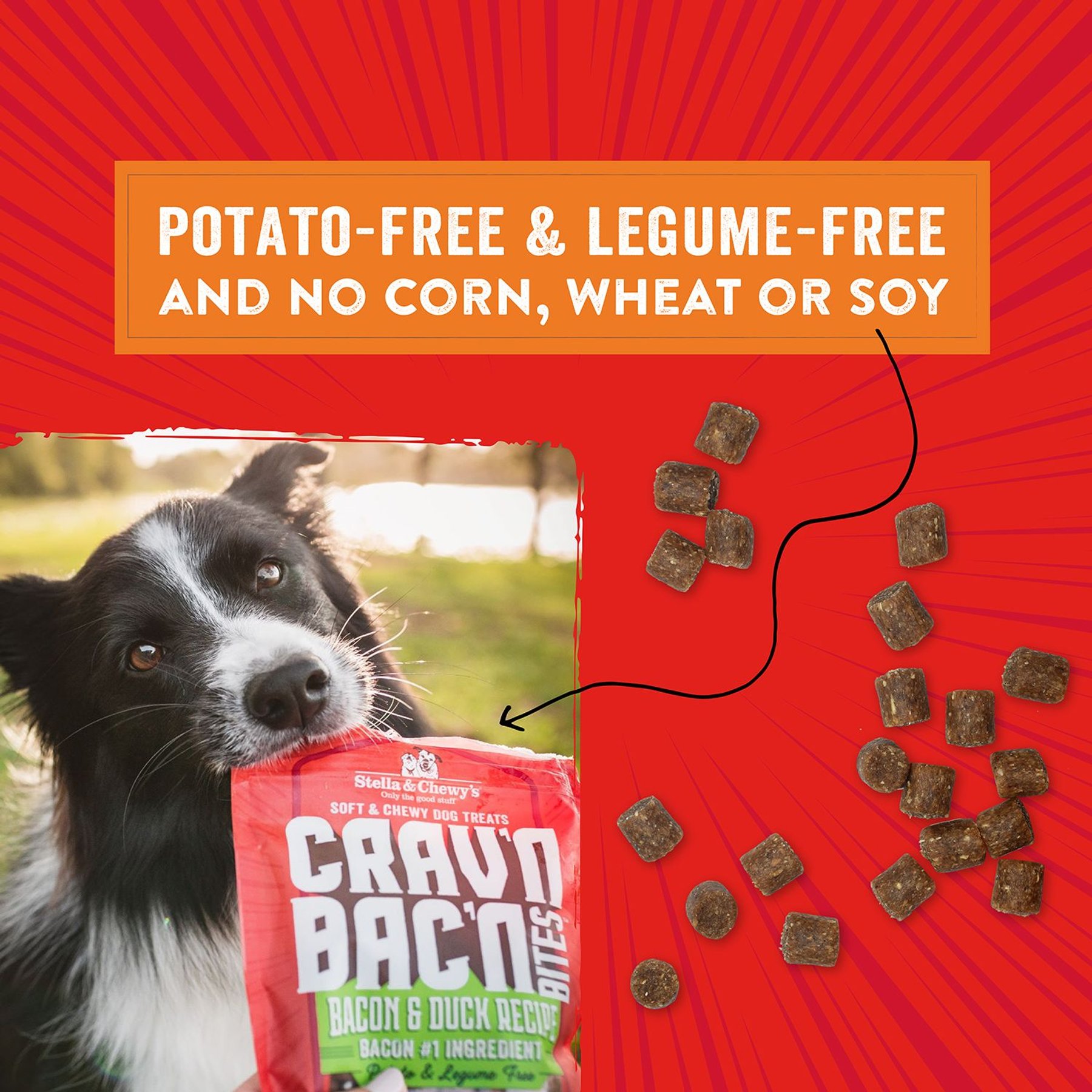 Stella & Chewy's Crav'n Bac'n Bites Bacon & Beef Recipe Dog Treats