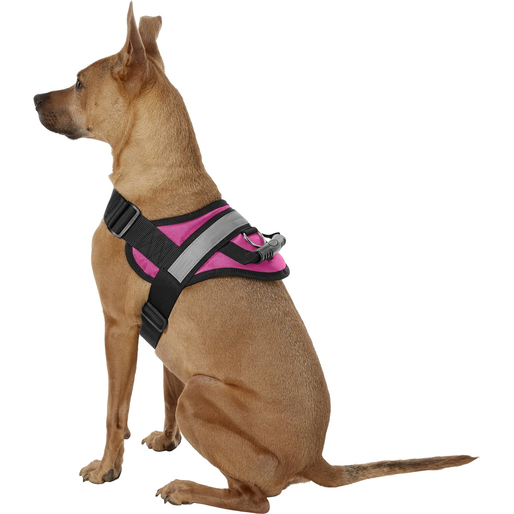 HDP Big No Pull Dog Harness Free shipping