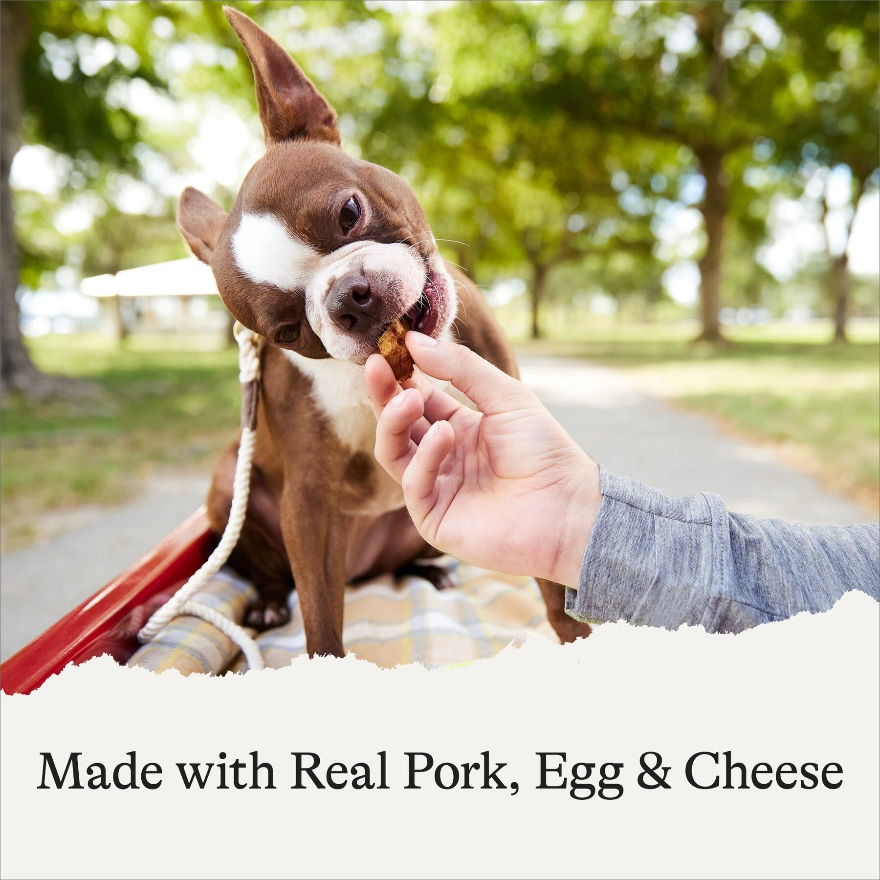American Journey Sausage, Egg & Cheese Flavor Grain-Free Oven Baked Crunchy Biscuit Dog Treats