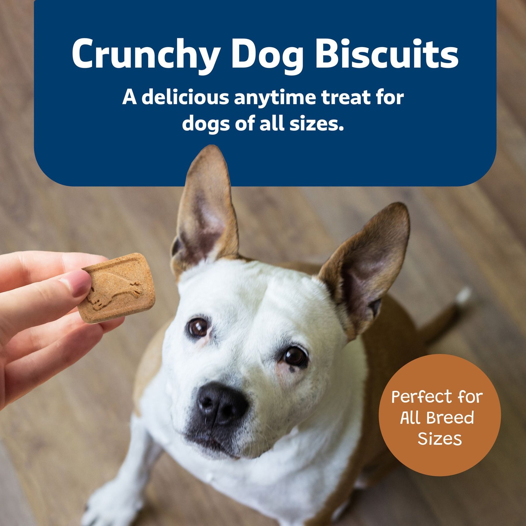 Blue Buffalo Health Bars Baked with Pumpkin & Cinnamon Dog Treats