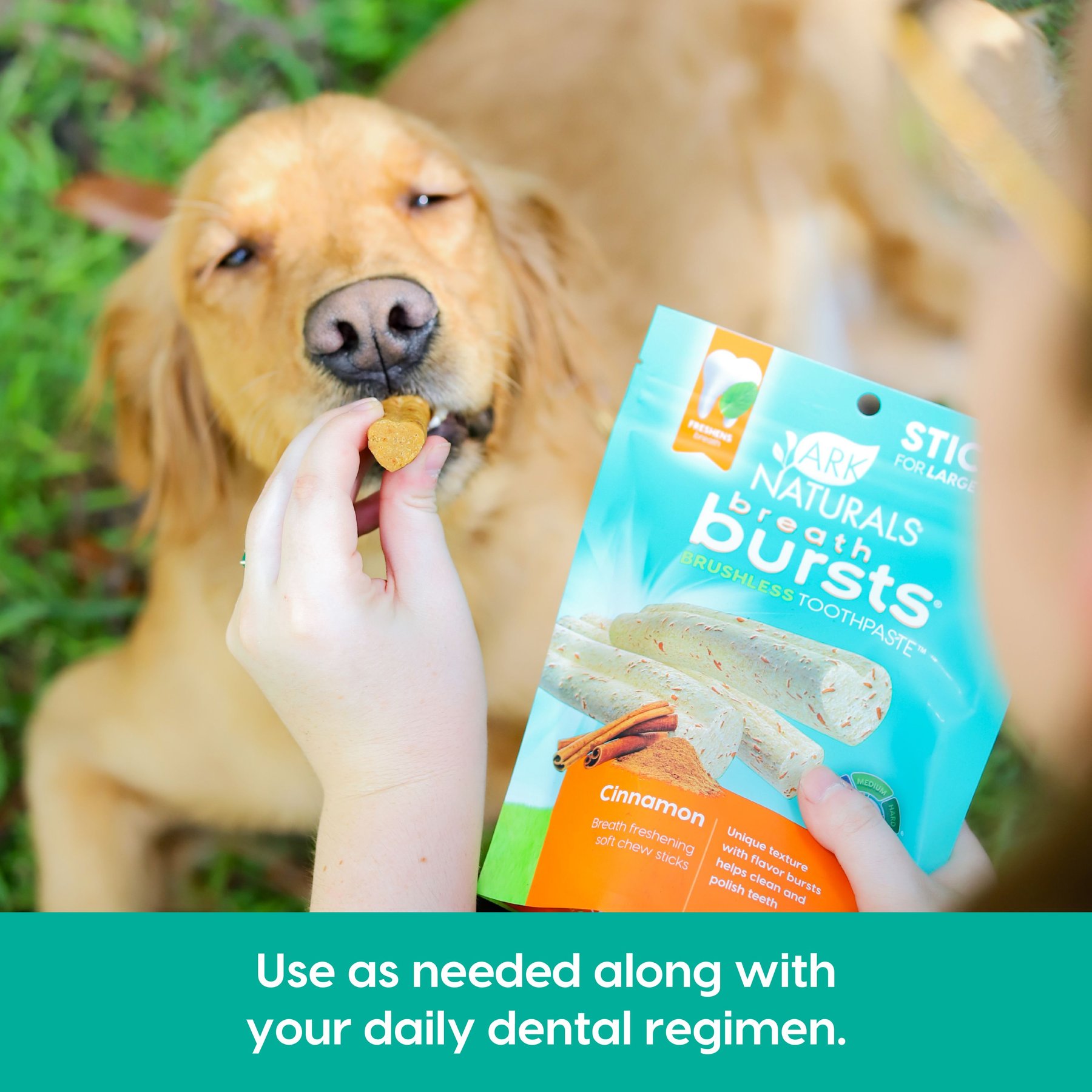 Ark Naturals Breath Bursts Cinnamon Sticks Medium/Large Dental Dog Treats, 6-oz bag