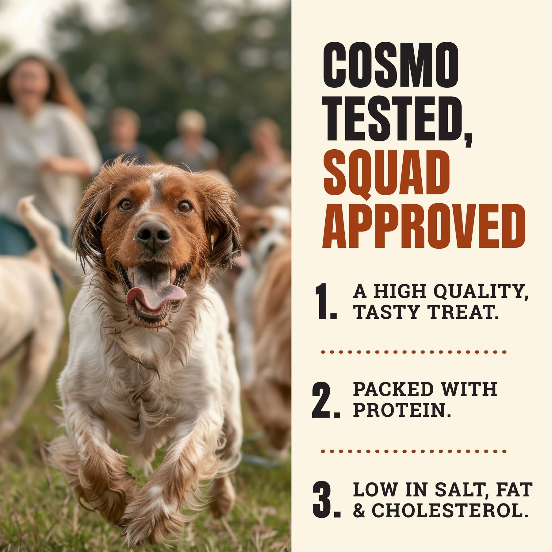 Cosmo's Snack Shack Savory Sticks Pork Barbecue High-Protein Jerky Dog Treats, 24 count