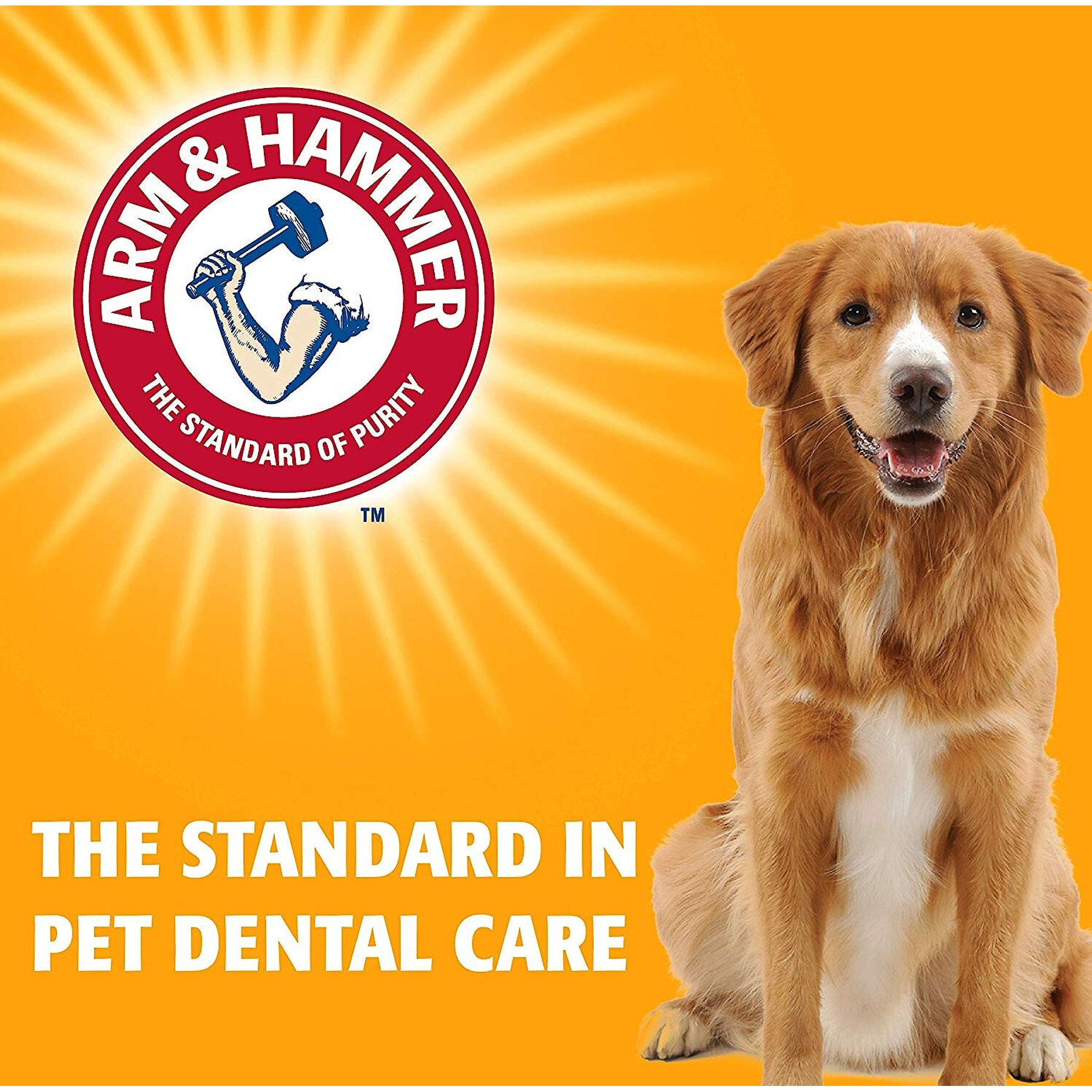 Arm & Hammer Products Nubbies Tartar Control Original Peanut Butter Flavor Dog Dental Chews