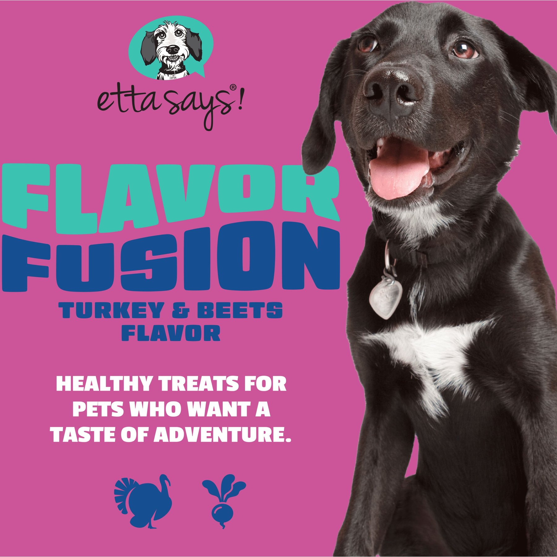 Etta Says! Fusion Gourmet Adult Turkey & Beets Flavor Natural Dog Chew Treats, 12 count