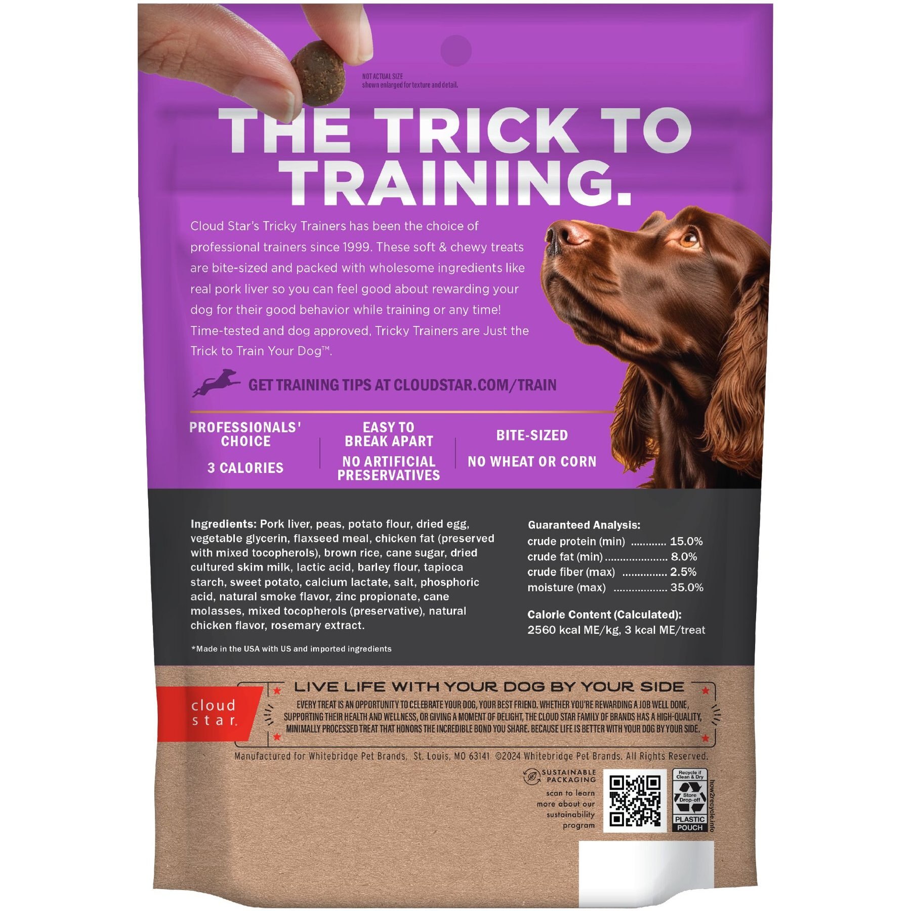 Cloud Star Chewy Tricky Trainers Liver Flavor Dog Treats