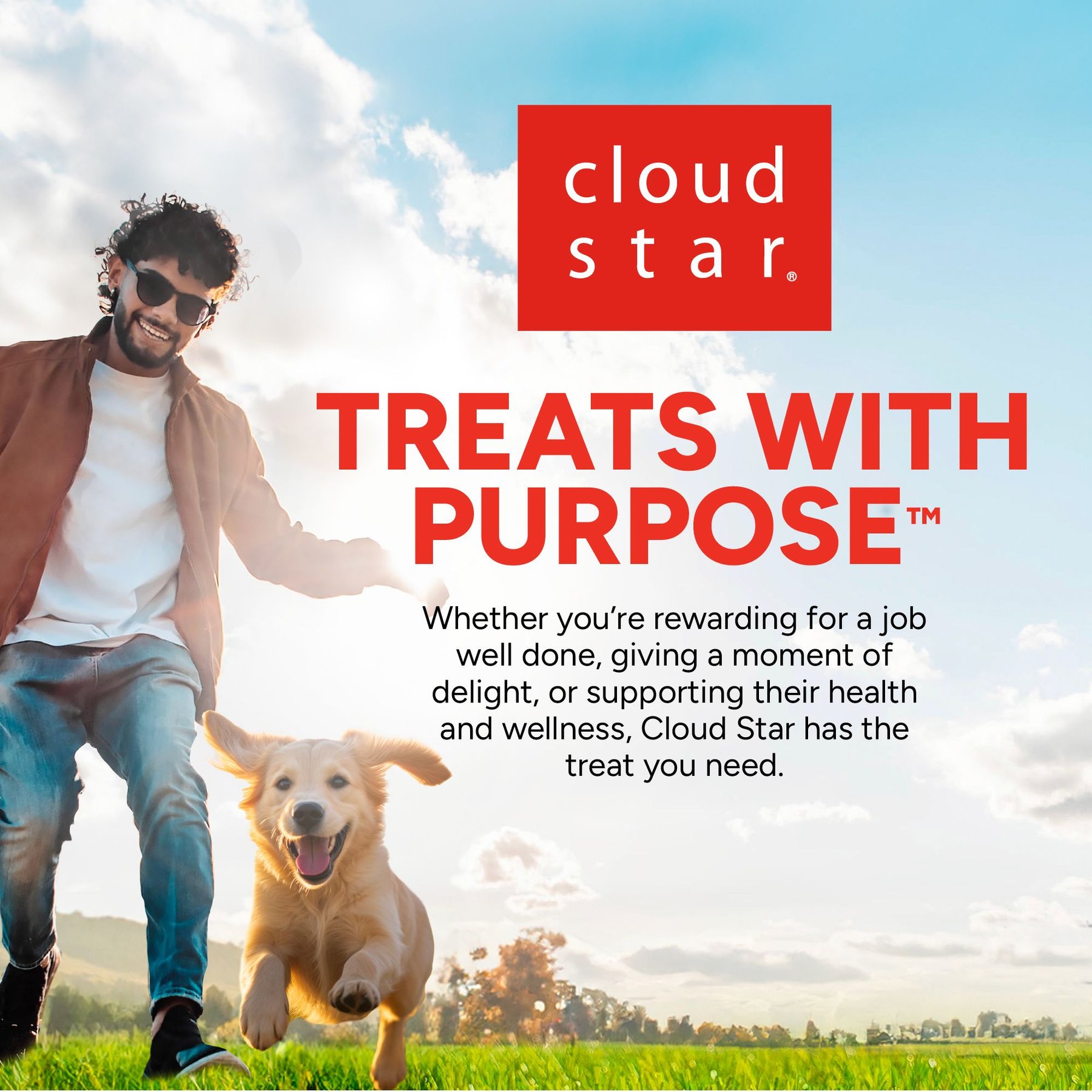 Cloud Star Wag More Bark Less Italian Beef Recipe Meatballs Grain-Free Dog Treats