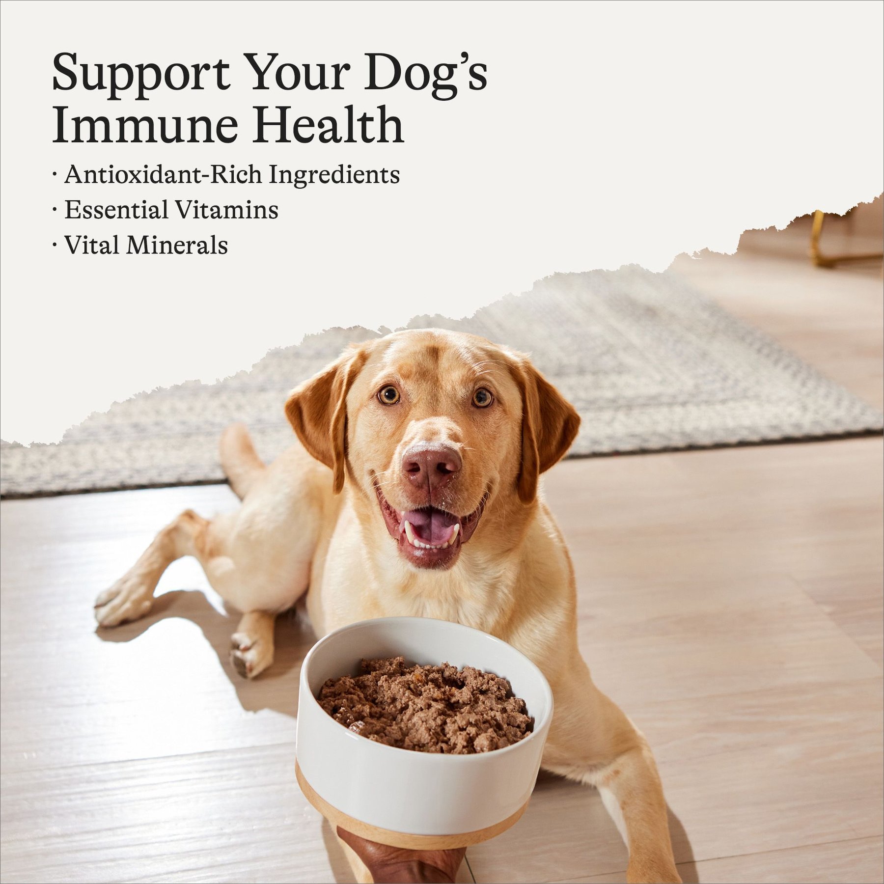 American Journey Beef & Vegetables Recipe Canned Dog Food