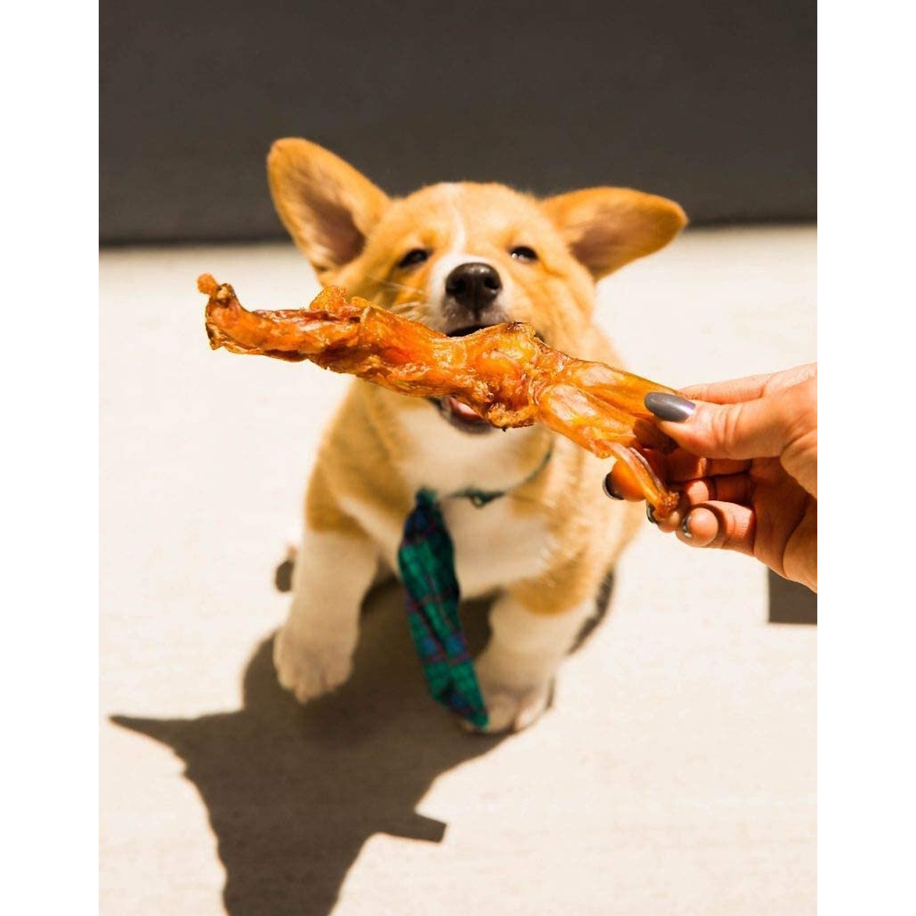 Pupford Beef Tendon Dog Chews