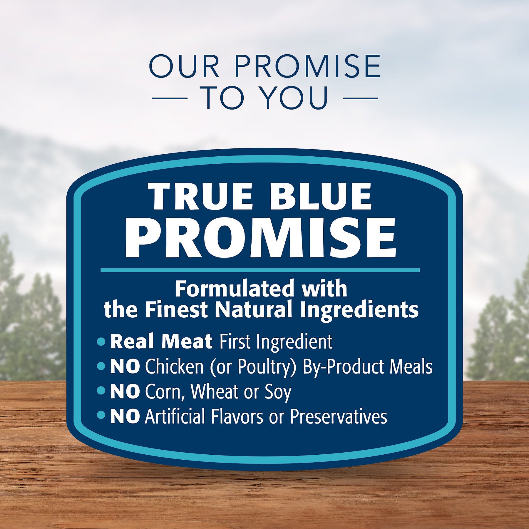 Blue Buffalo Wilderness Salmon & Chicken Grill with Oats & Barley Adult Wet Dog Food