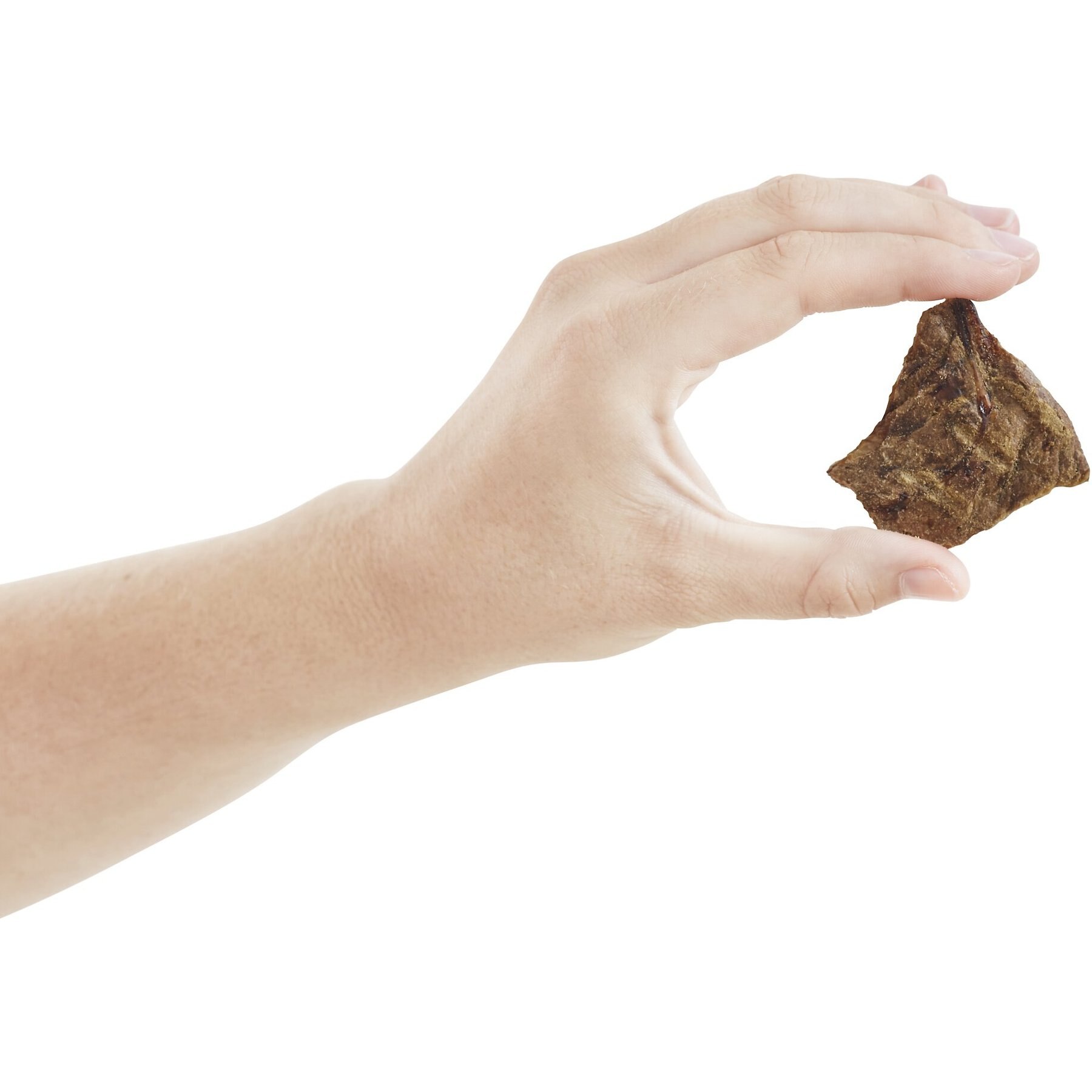 Bones & Chews All-Natural Beef Lung Filets Dehydrated Dog Treats, 12-oz bag