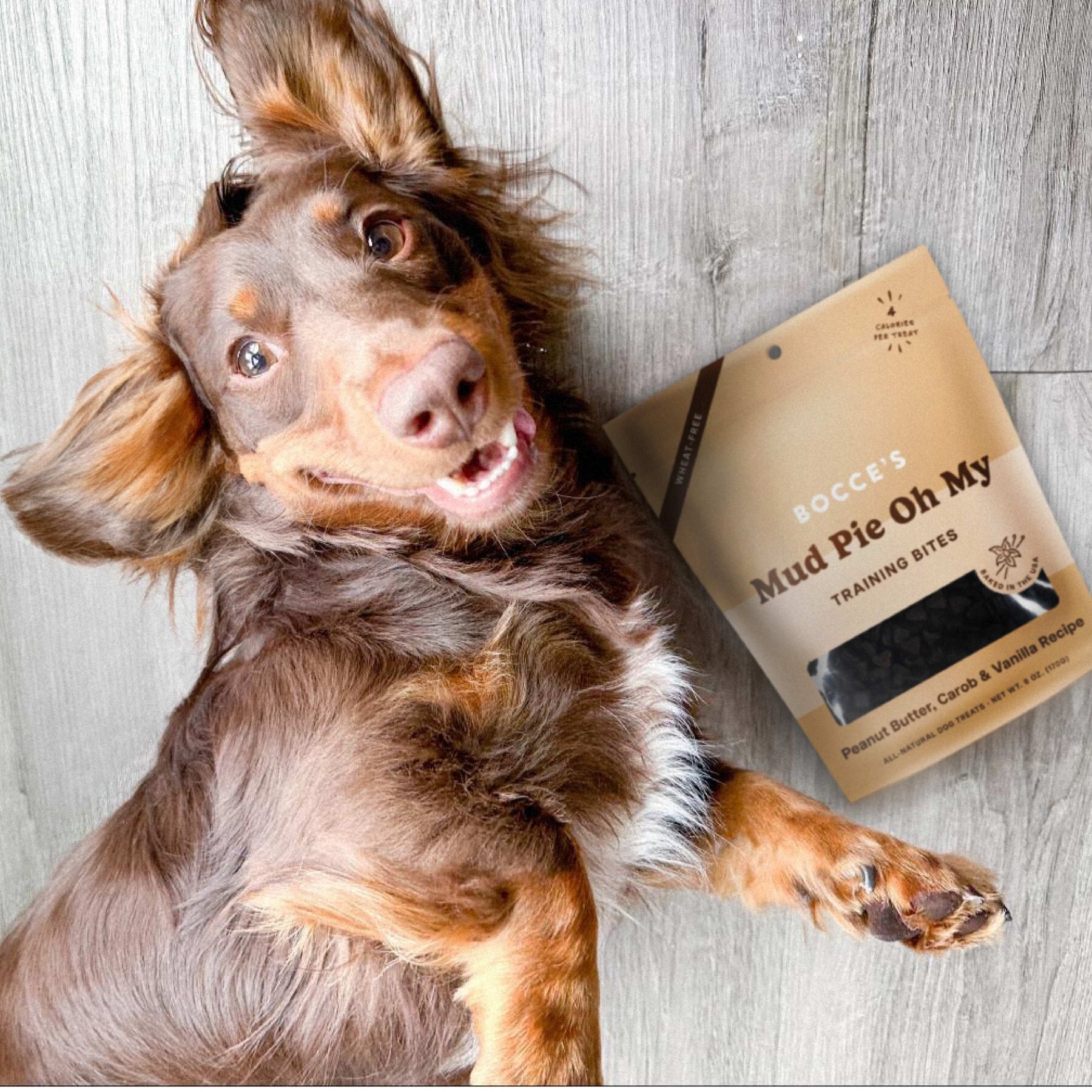 Bocce's Bakery Mud Pie Oh My Training Bites Dog Treats