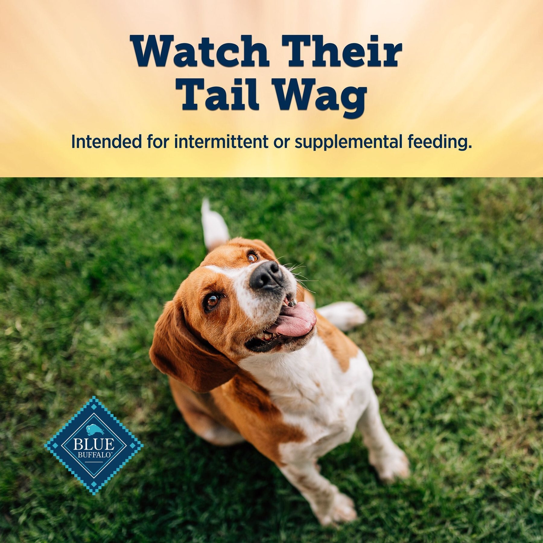 Blue Buffalo True Chews Premium Morsels Natural Grain-Free Steak Dog Treats