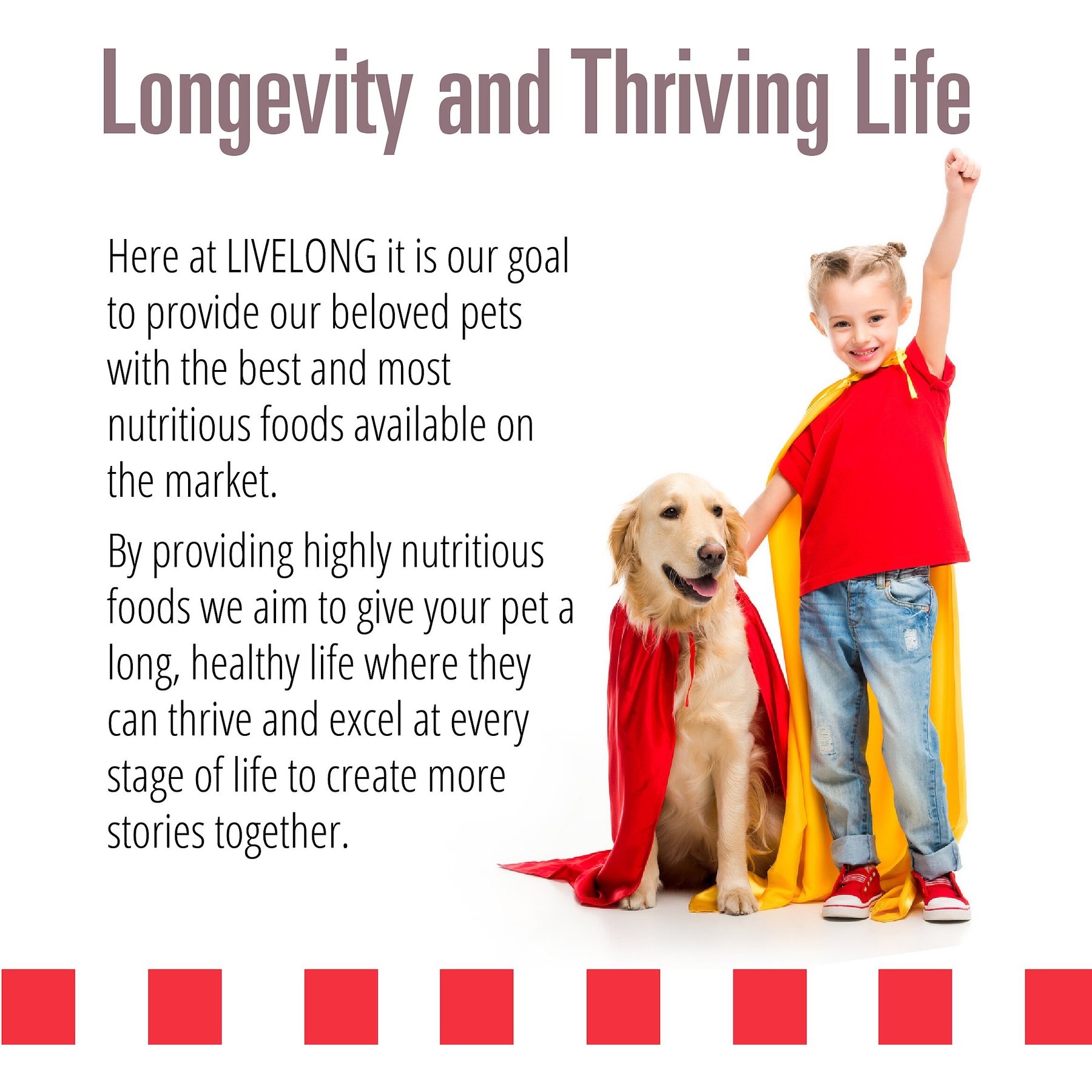 Livelong Healthy & Strong Bison/Buffalo & Sweet Potato Recipe Wet Dog Food, 12.5-oz can, case of 12