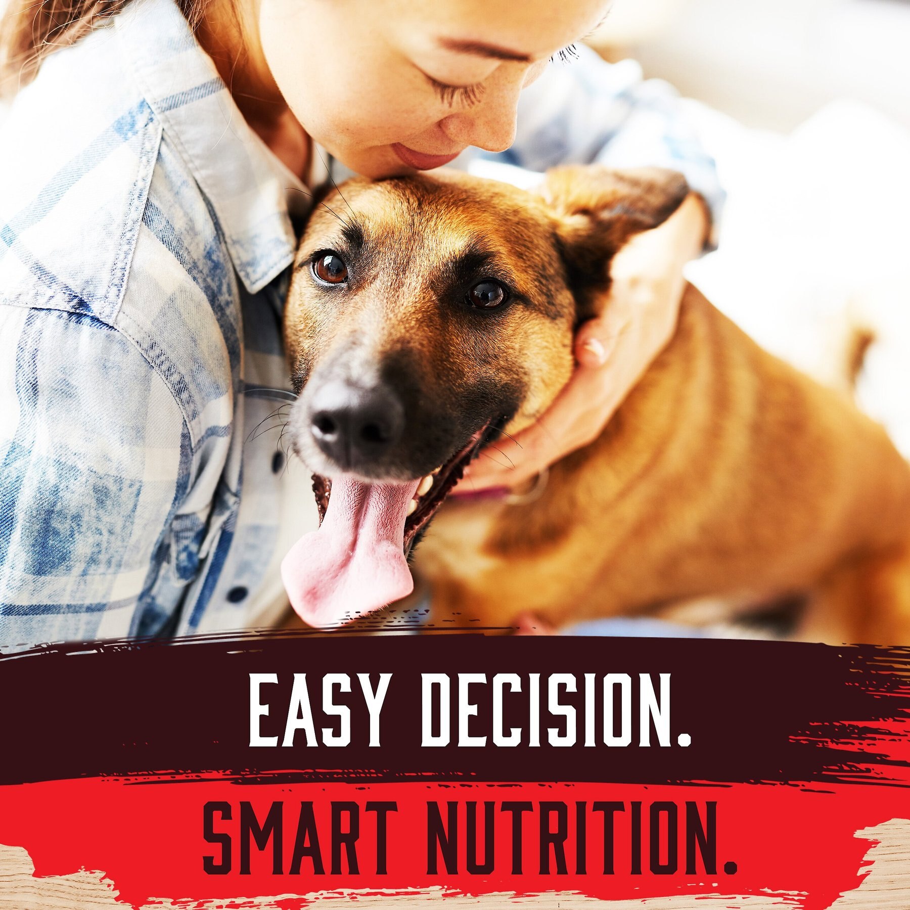 Inception Pork Recipe Canned Dog Food, 13-oz, case of 12