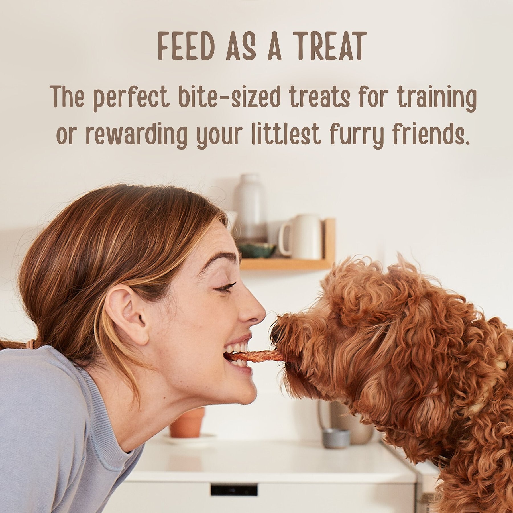 Full Moon All Natural Human Grade Beef Savory Bites Dog Treats, 14-oz bag