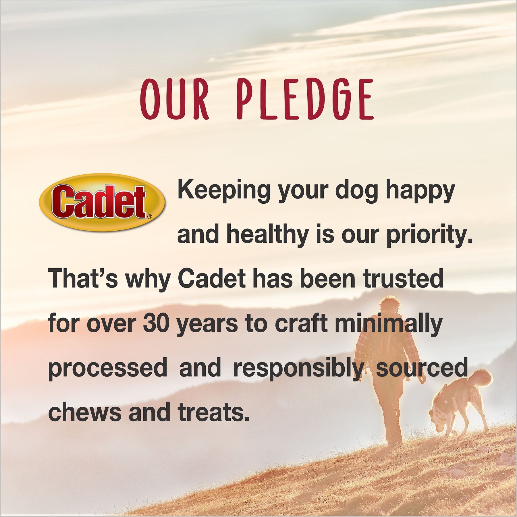 Cadet Gourmet Beef Hide & Duck Twist Sticks Dog Treats, 5-in