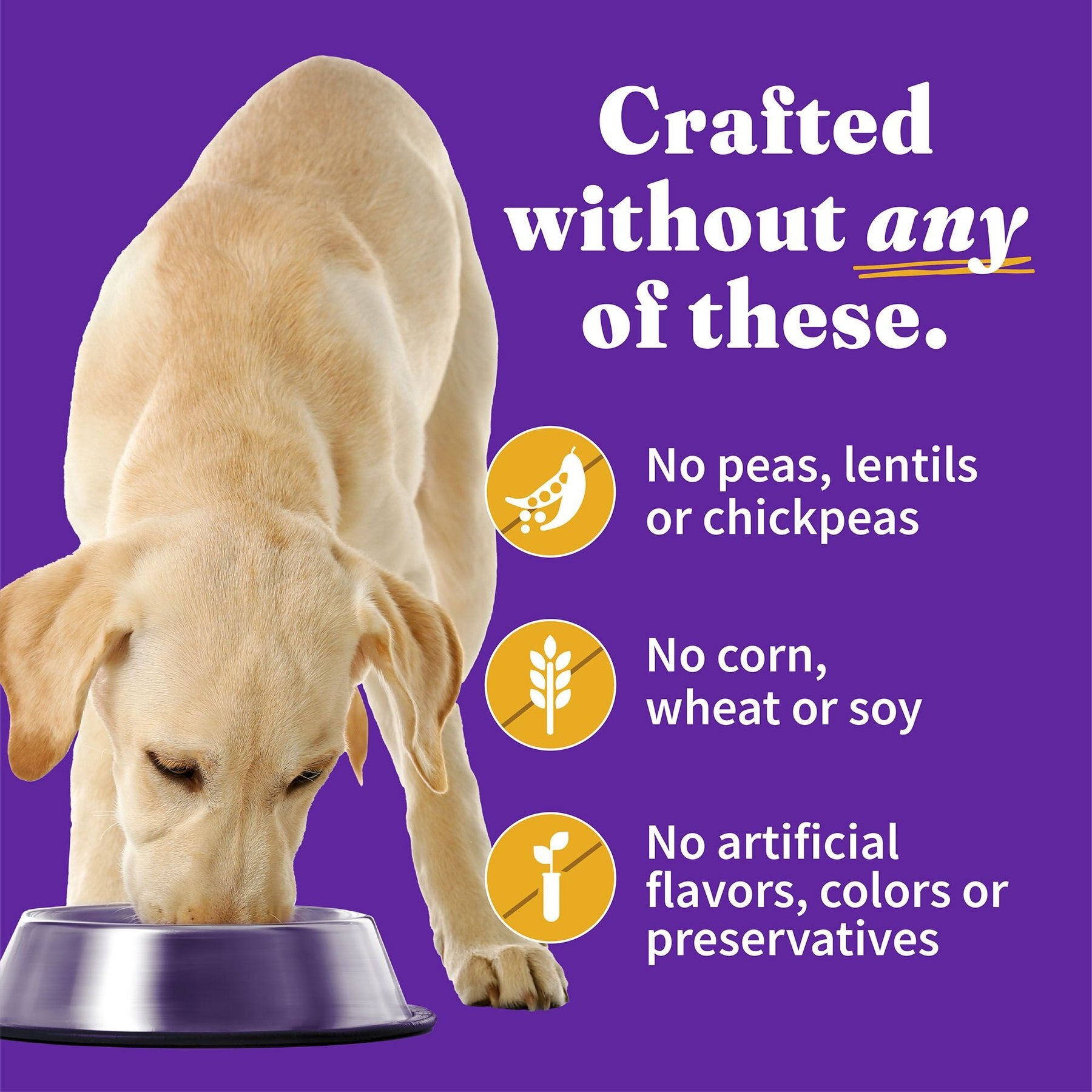 Halo Elevate Homestyle Bone-In Chicken Stew with Sweet Potatoes & Kale Grain-Free Wet Dog Food, 12.7-oz can, case of 6