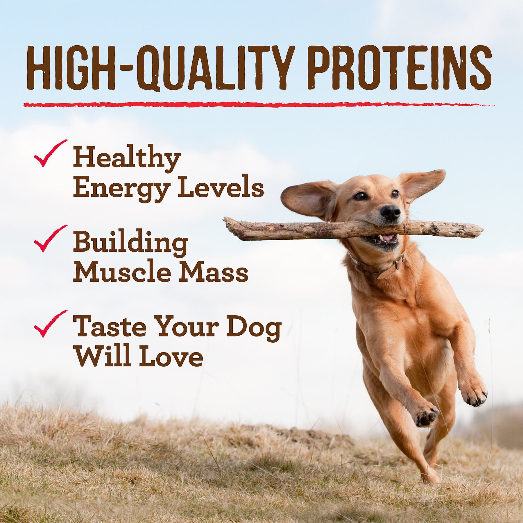 Merrick Grain-Free Wet Dog Food Turducken