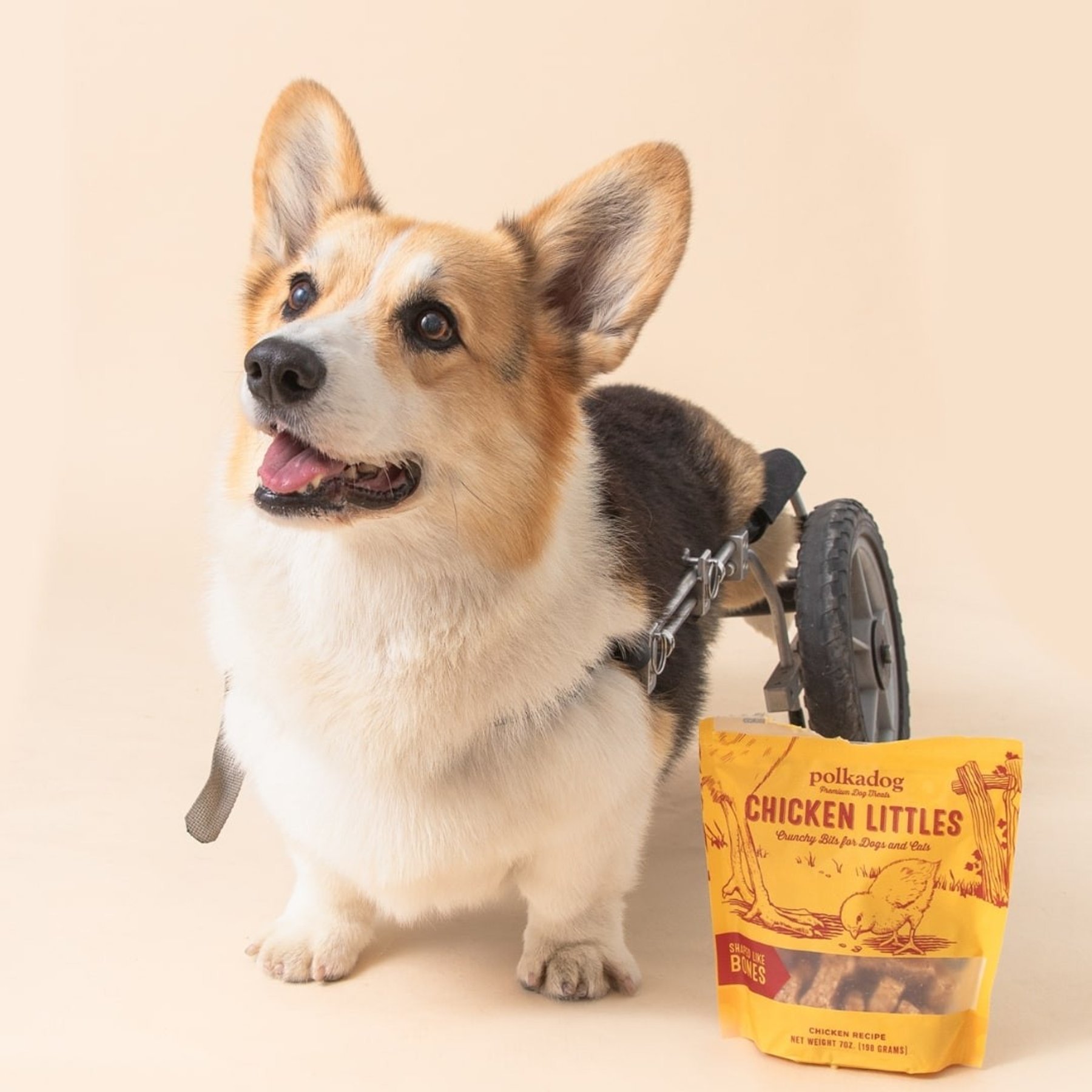 Polkadog Chicken Littles Bone Shaped Dehydrated Dog & Cat Treats, 7-oz bag
