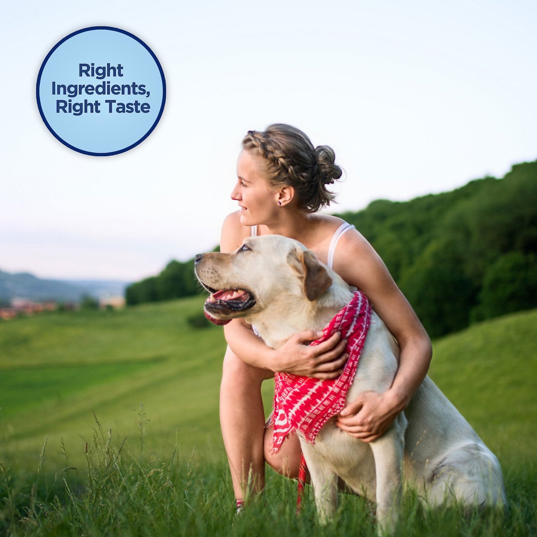 Natural Balance Rewards Crunchy Biscuits with Real Bison Dog Treats