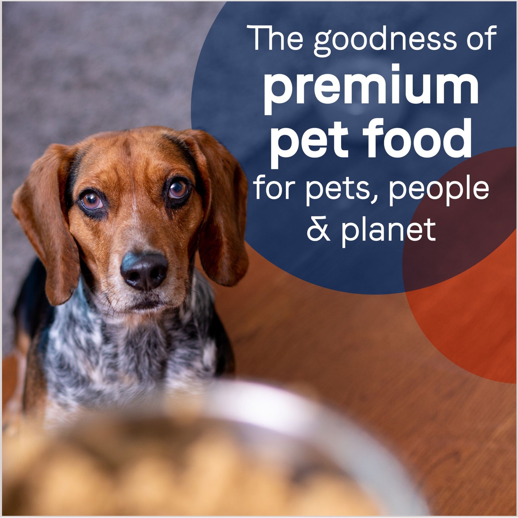 CANIDAE Pure Lamb, Turkey & Chicken Recipe Adult Wet Dog Food