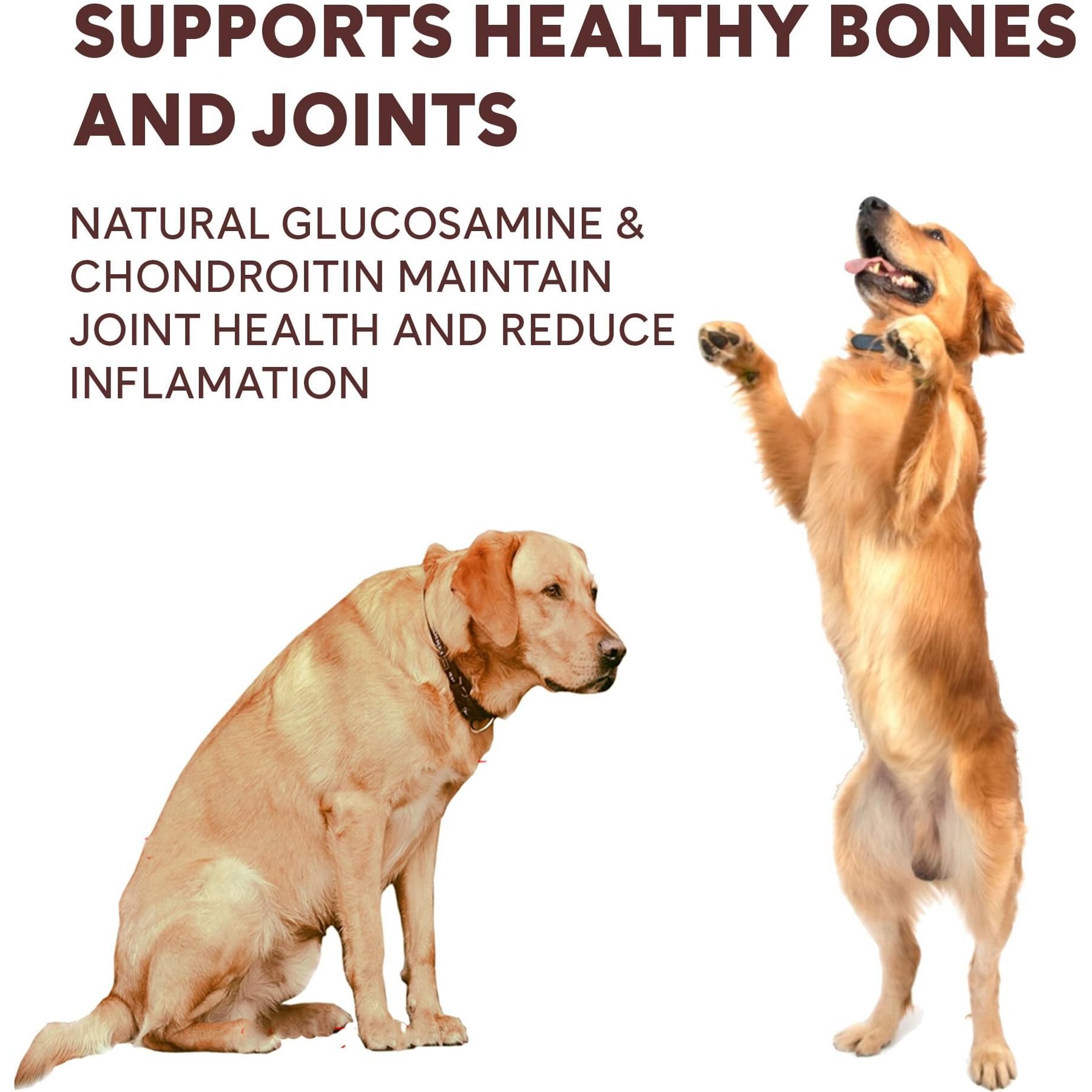 Pupford Beef High-Protein Jerky Dog Treats