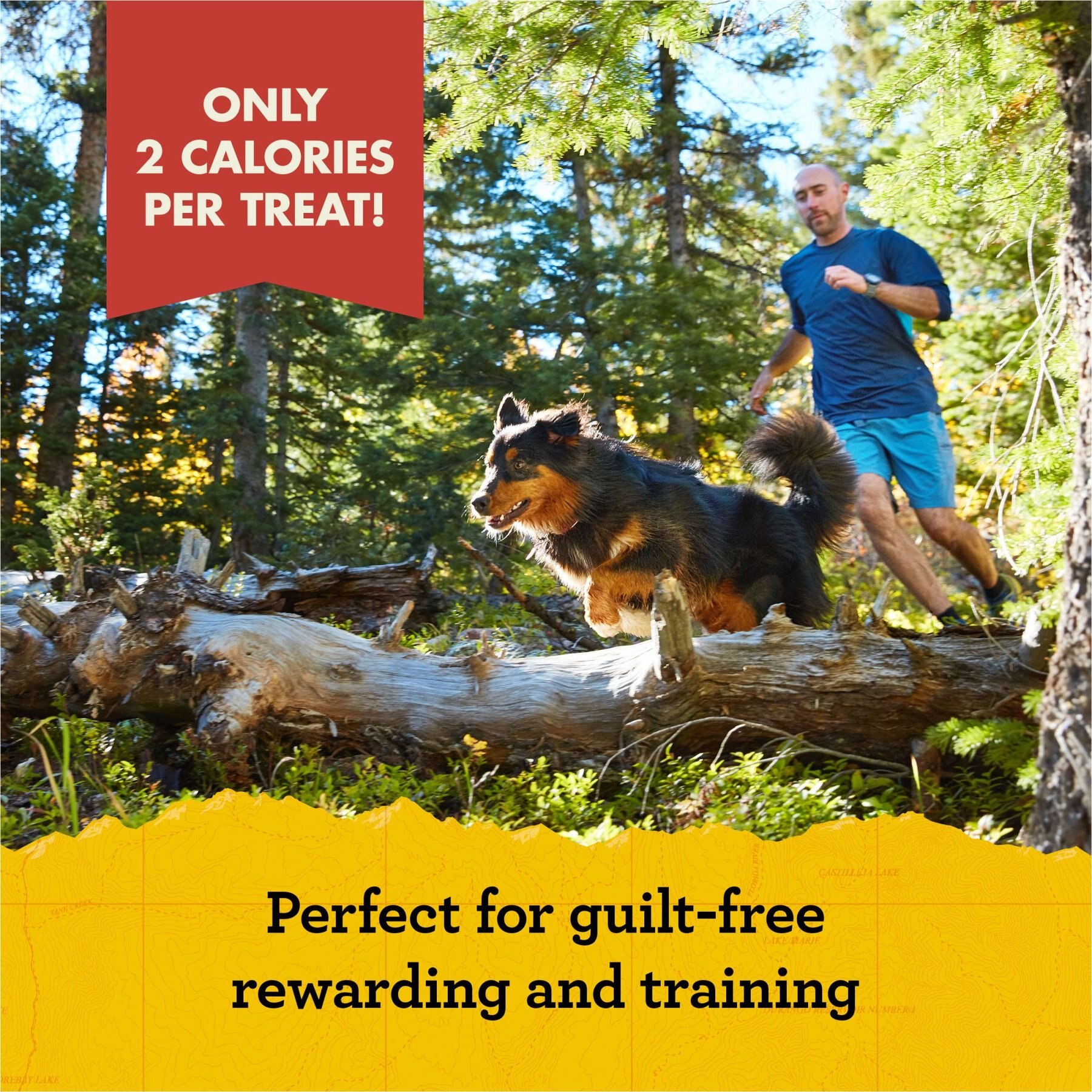 Zuke's Mini Naturals Duck Recipe Training Dog Treats
