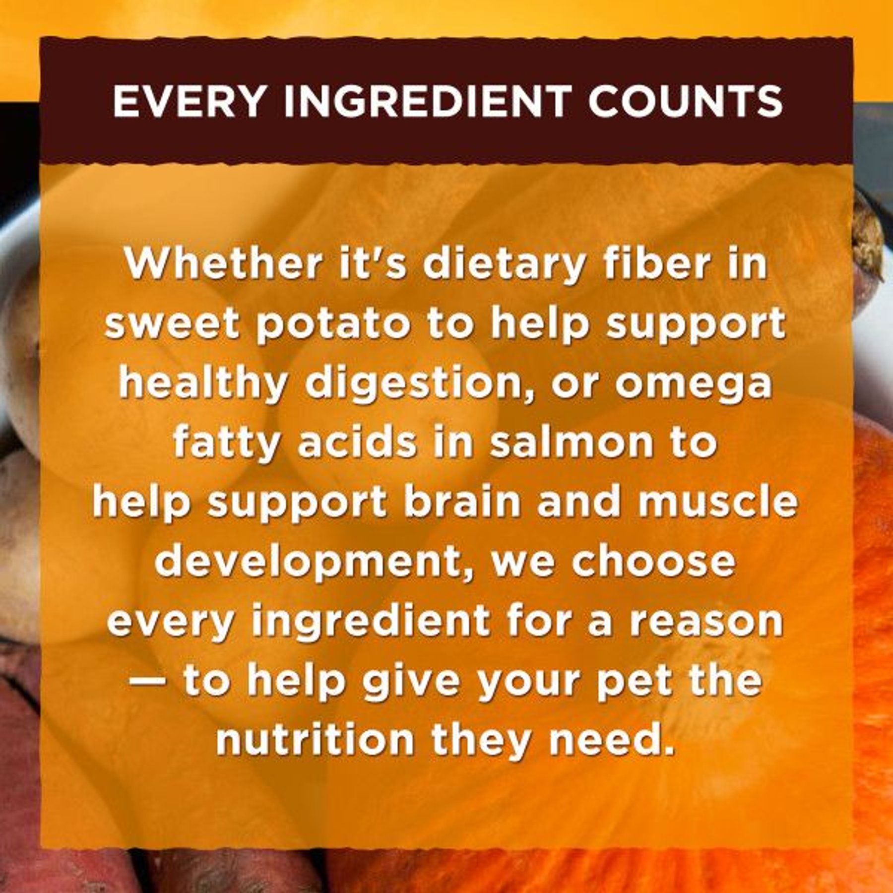 Nature's Recipe Chicken, Rice & Barley Recipe Stew Wet Dog Food