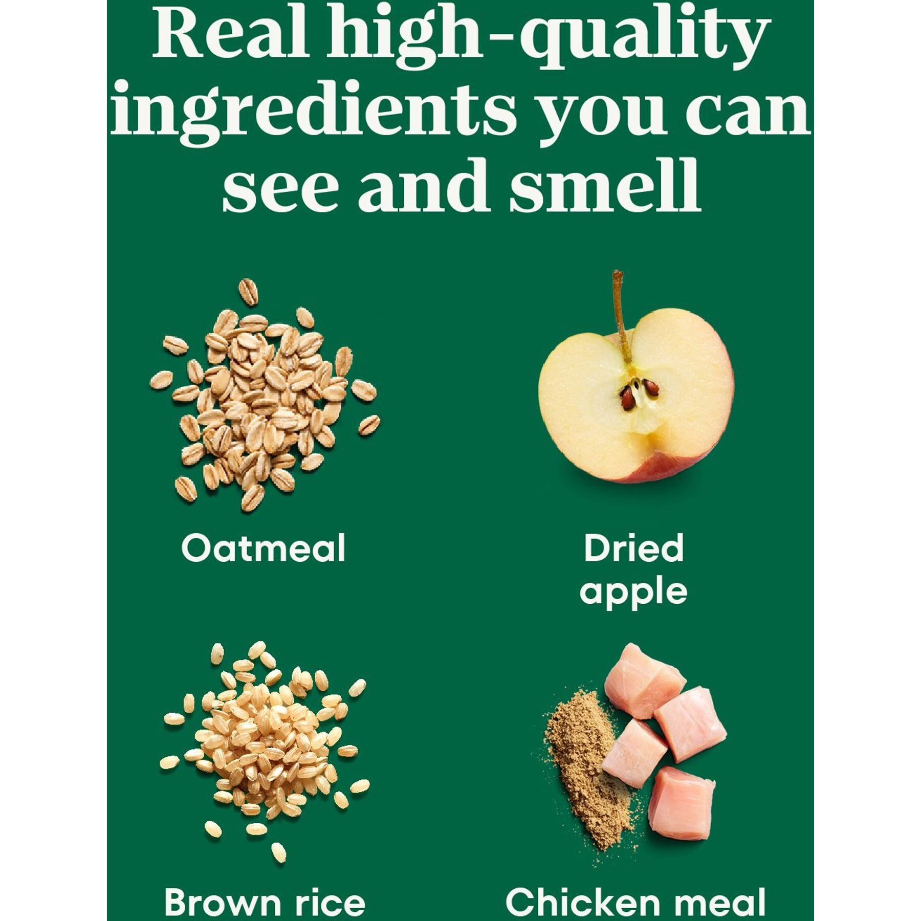 Nutro Crunchy with Real Apple Dog Treats