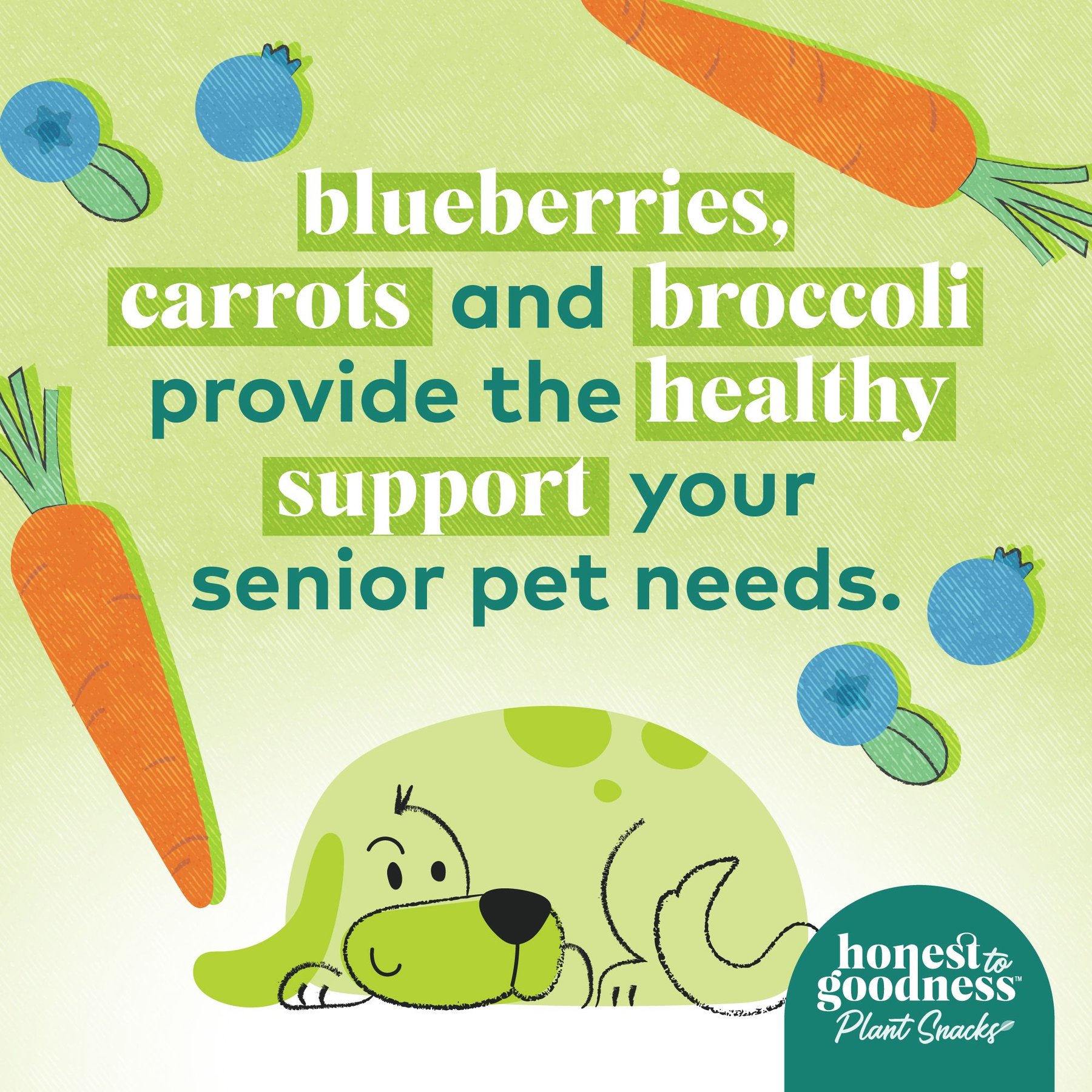 Honest To Goodness Plant Snacks Golden Years Blueberry & Carrot Dog Treats, 8-oz bag