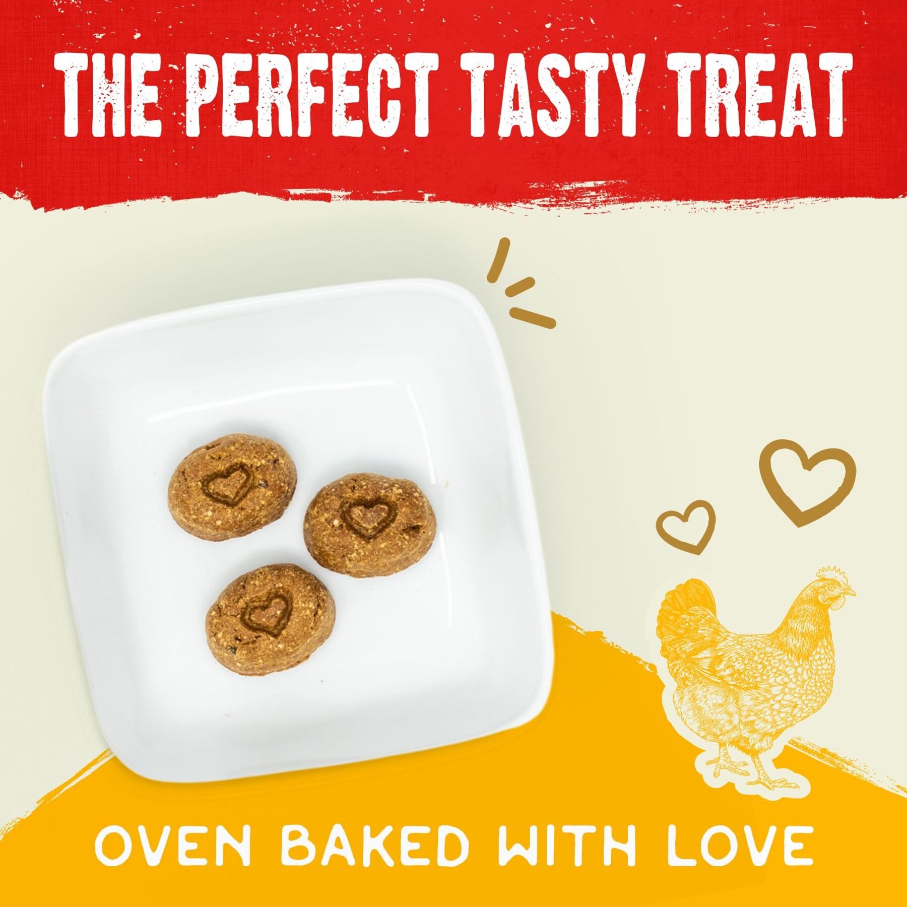 Stella & Chewy's Raw Coated Biscuits Cage-Free Chicken Recipe Freeze-Dried Grain-Free Dog Treats