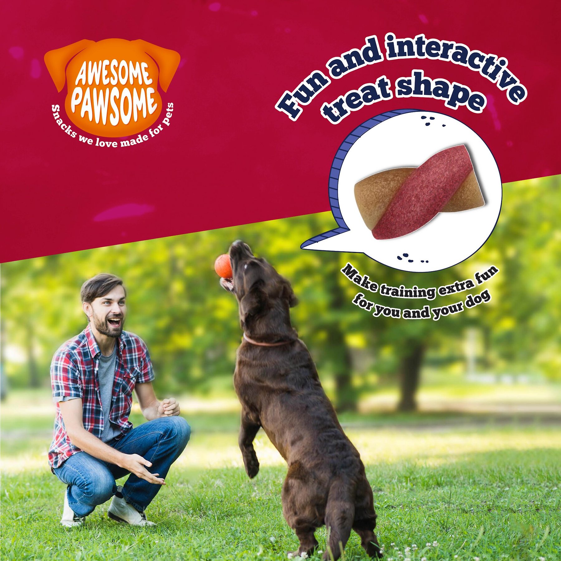 Awesome Pawsome Peanut Butter & Cranberry Dog Treats, 3-oz bag
