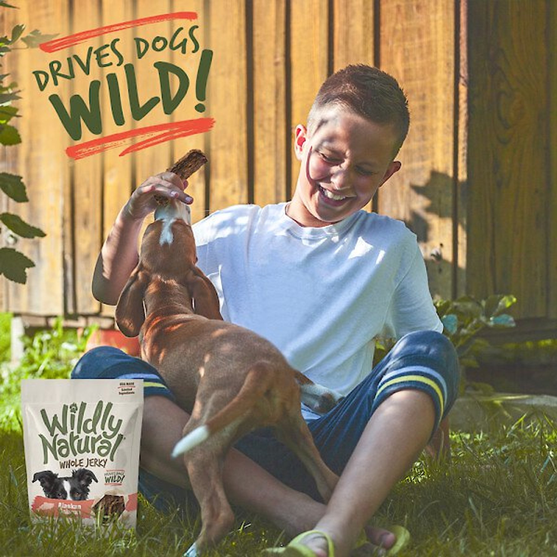 Wildly Natural Whole Jerky Alaskan Salmon Grain-Free Dog Treats, 5-oz bag