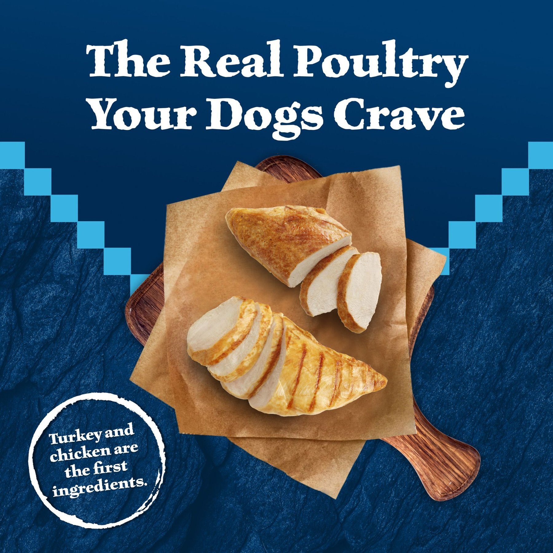 Blue Buffalo Wilderness Turkey & Chicken Grill with Oats & Barley Adult Wet Dog Food