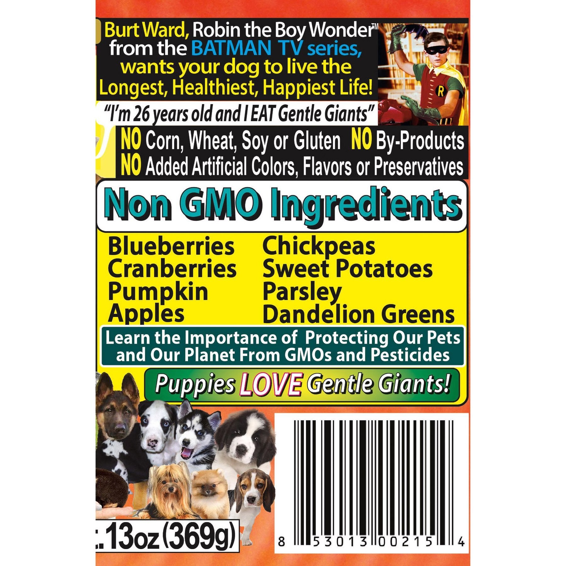 Gentle Giants Natural Non-GMO Puppy Grain-Free Salmon Wet Dog Food