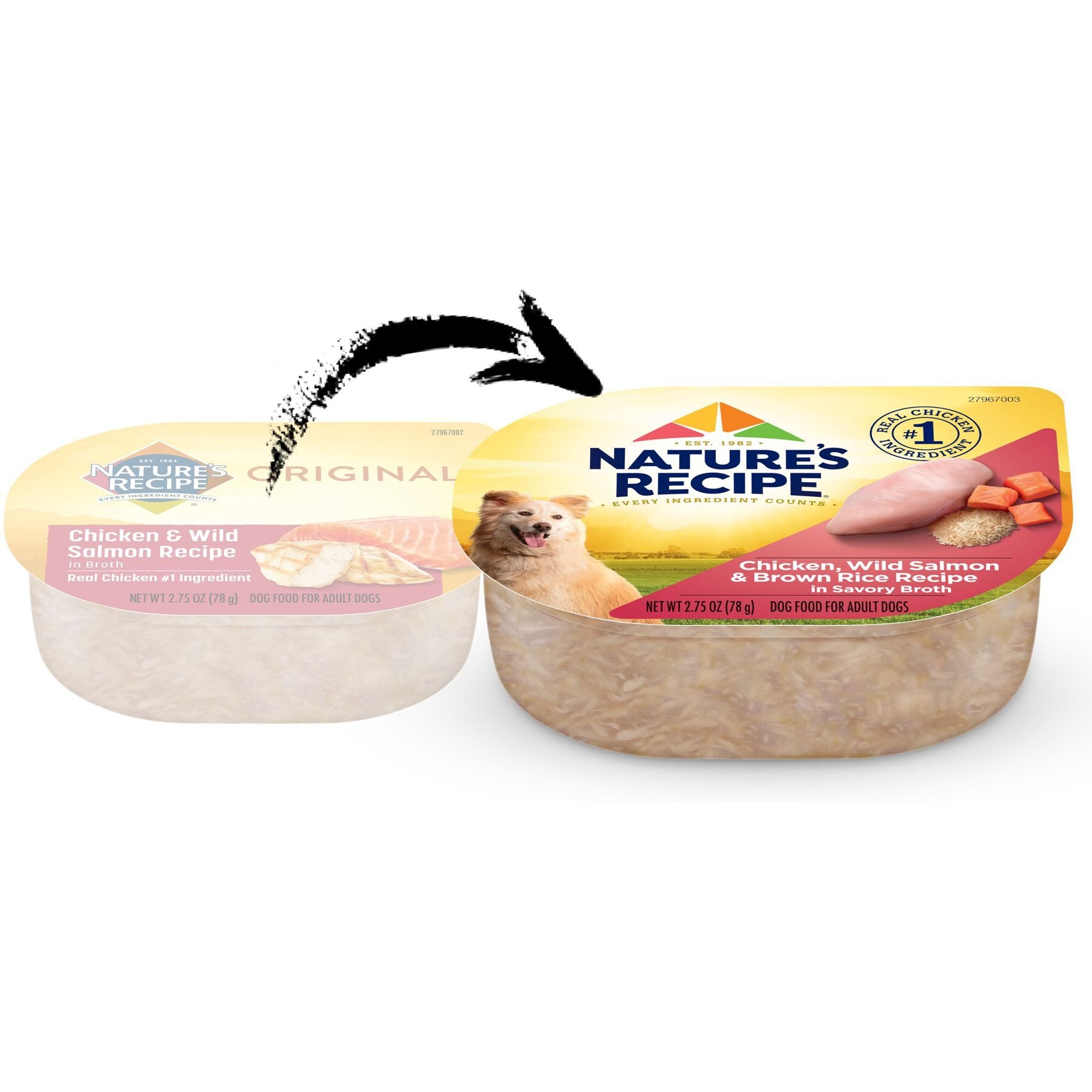 Nature's Recipe Chicken & Wild Salmon Recipe in Broth Wet Dog Food