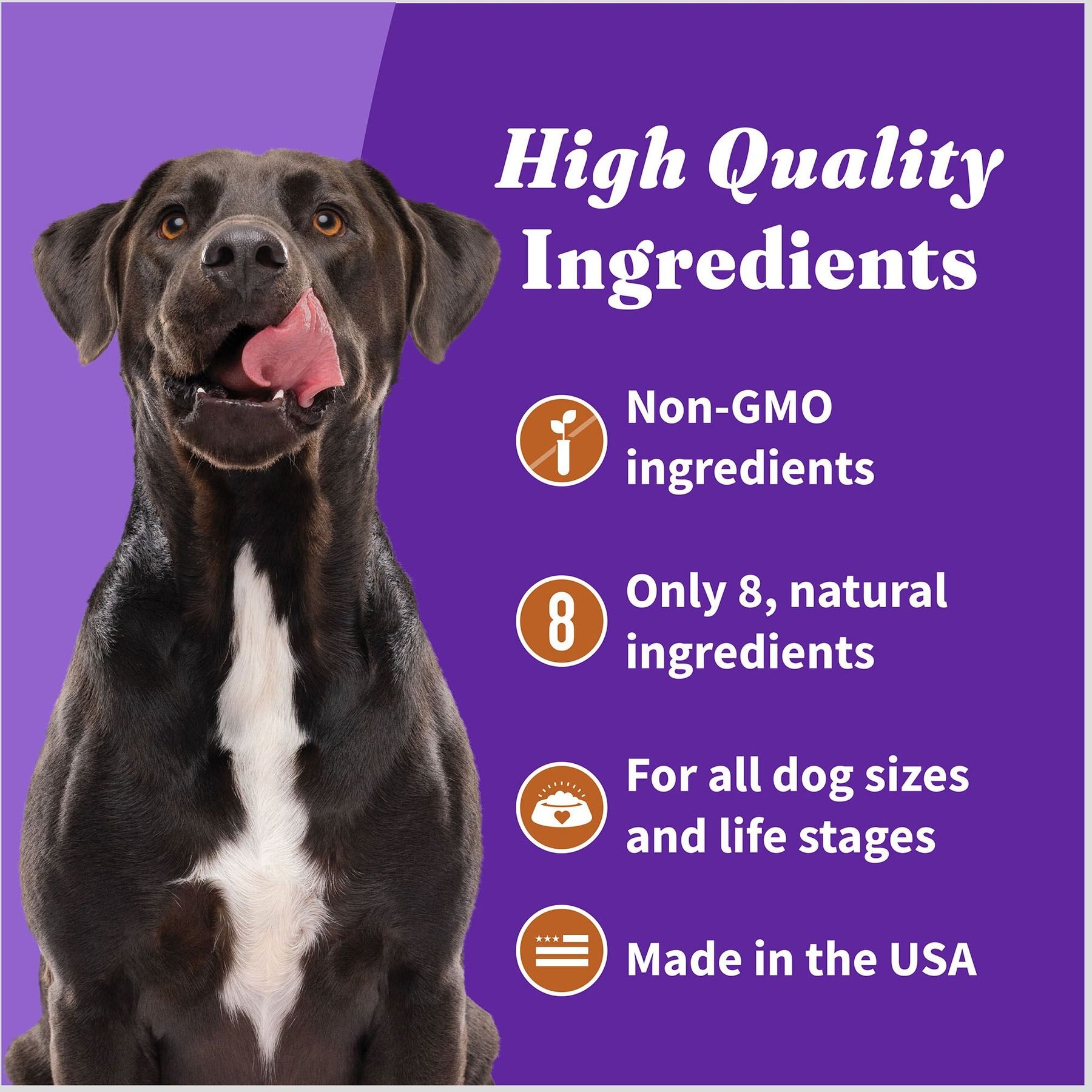 Halo Plant-Based Dog Treats with Peanuts & Pumpkin Vegan Dog Treat