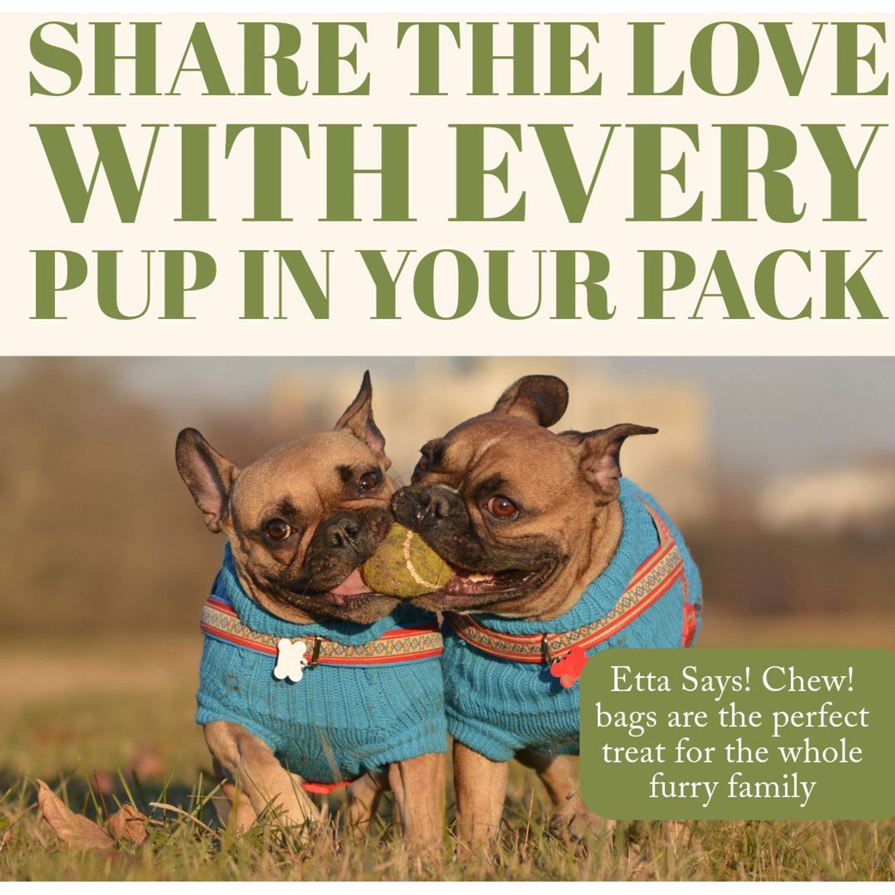 Etta Says! Chew! Premium Crunchy Buffalo Recipe Grain-Free Dog Treats, 4.5-oz bag
