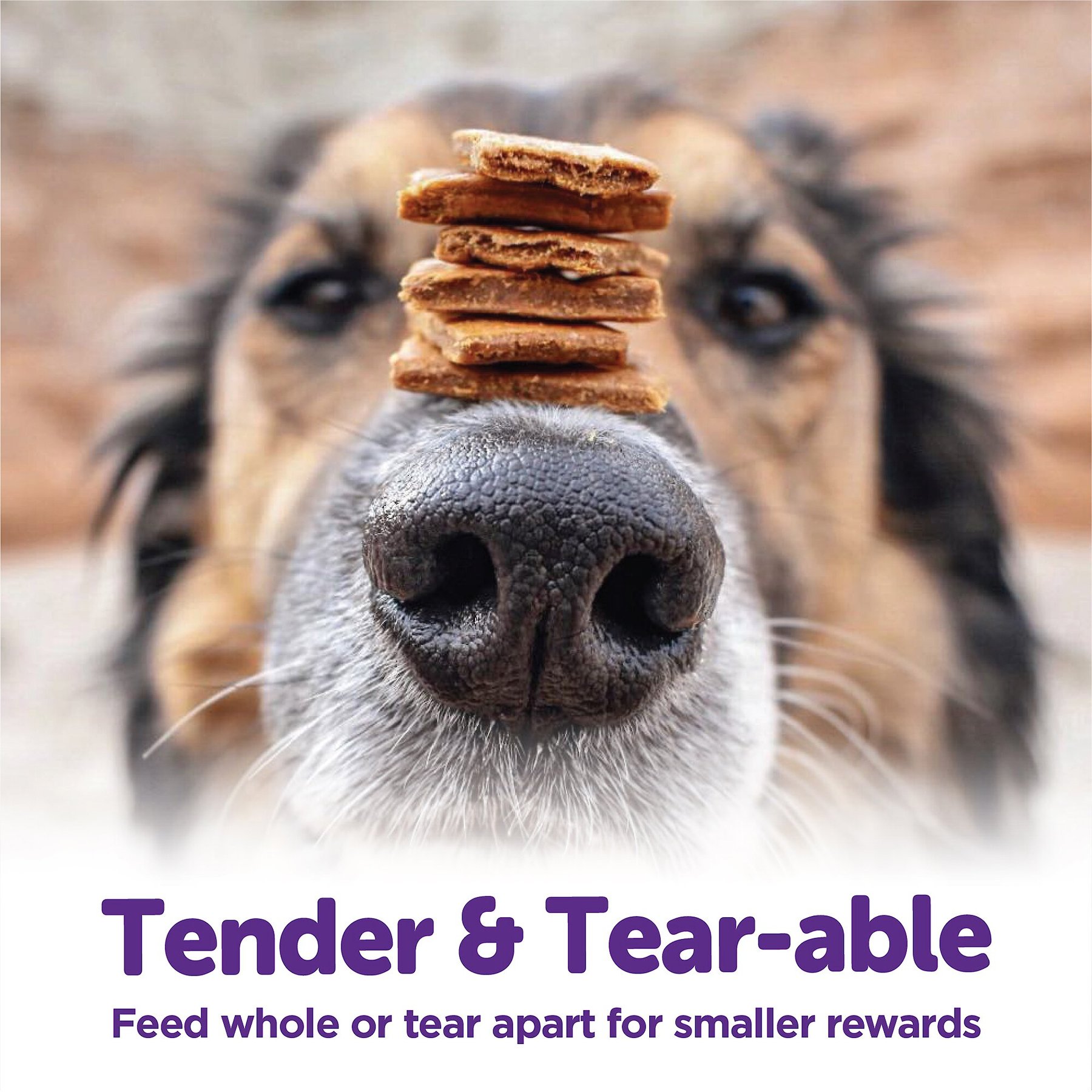 Wellness The Rewarding Life Lamb & Salmon Soft & Chewy Natural Dog Treats
