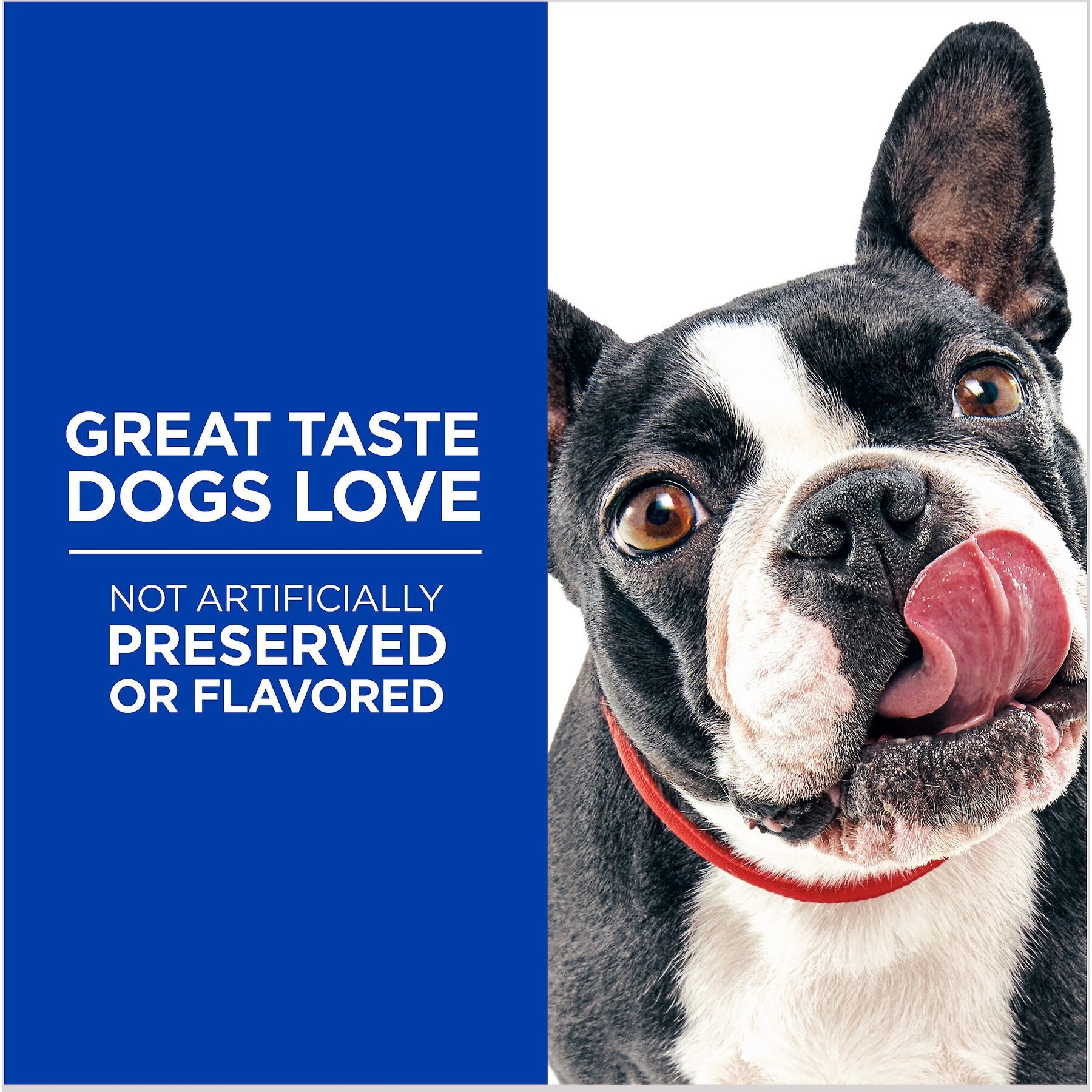 Hill's Natural Jerky Mini-Strips with Real Chicken Dog Treats