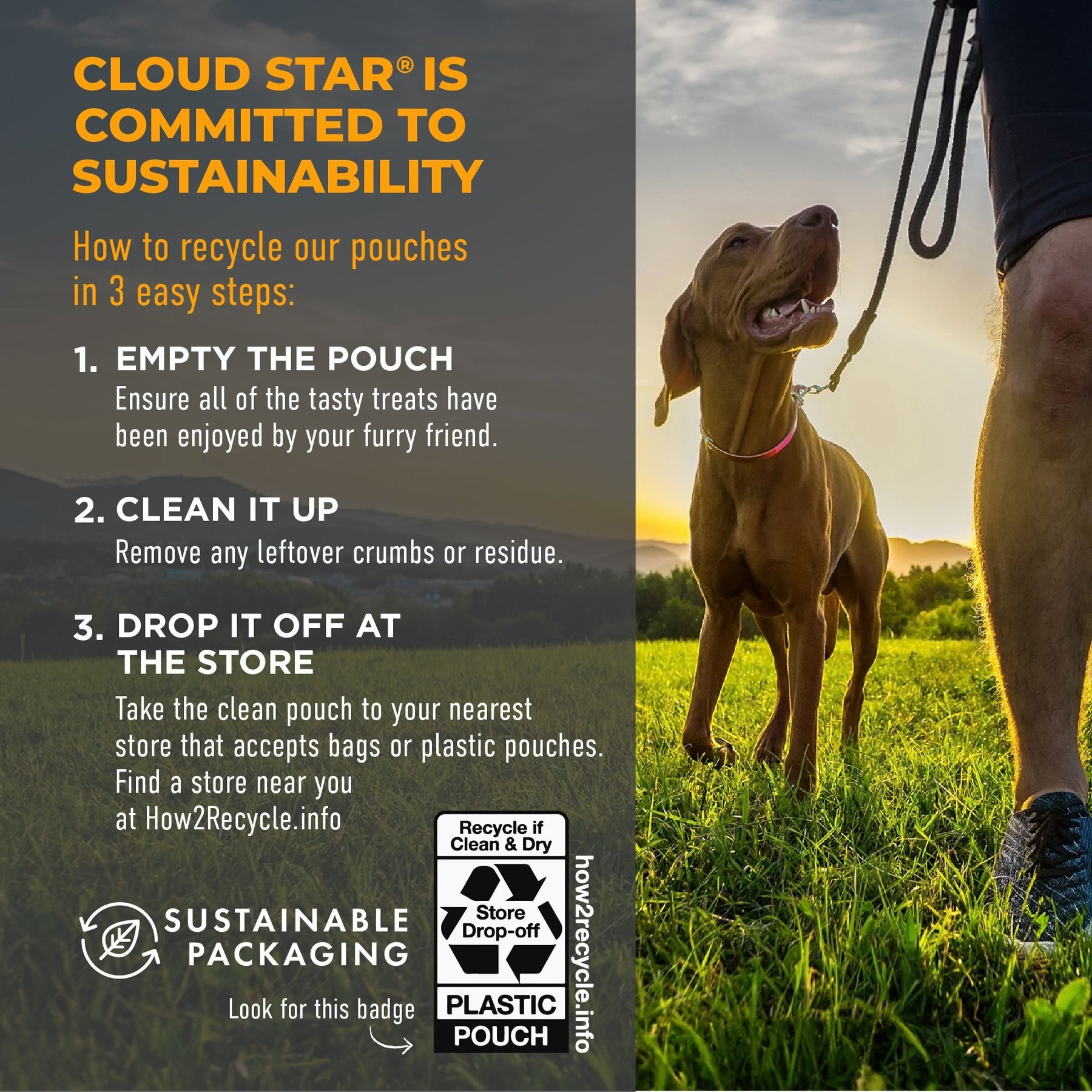 Cloud Star Chewy Tricky Trainers Cheddar Flavor Dog Treats