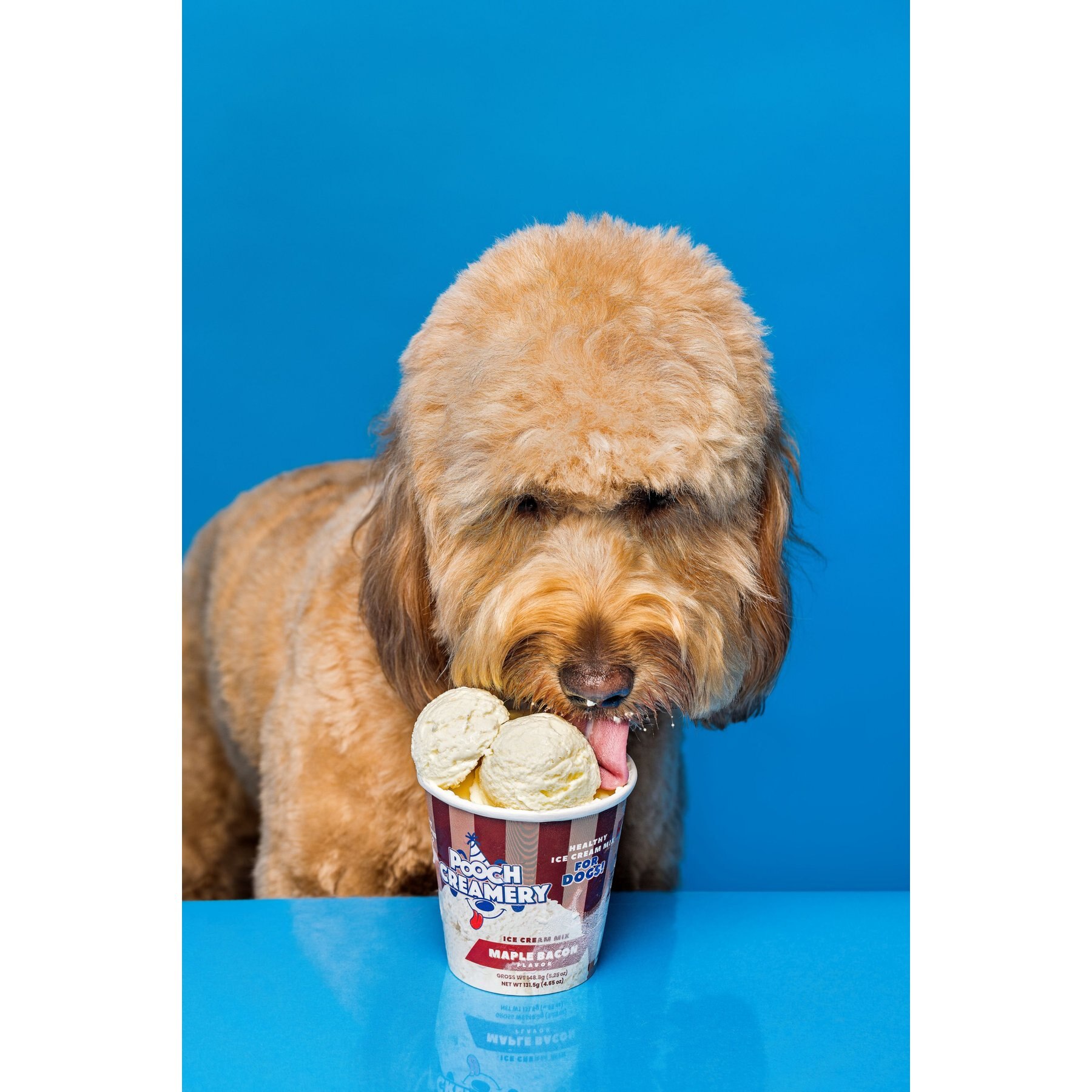 Pooch Creamery Maple Bacon Flavor Ice Cream Mix Dog Treat, 5.25-oz carton
