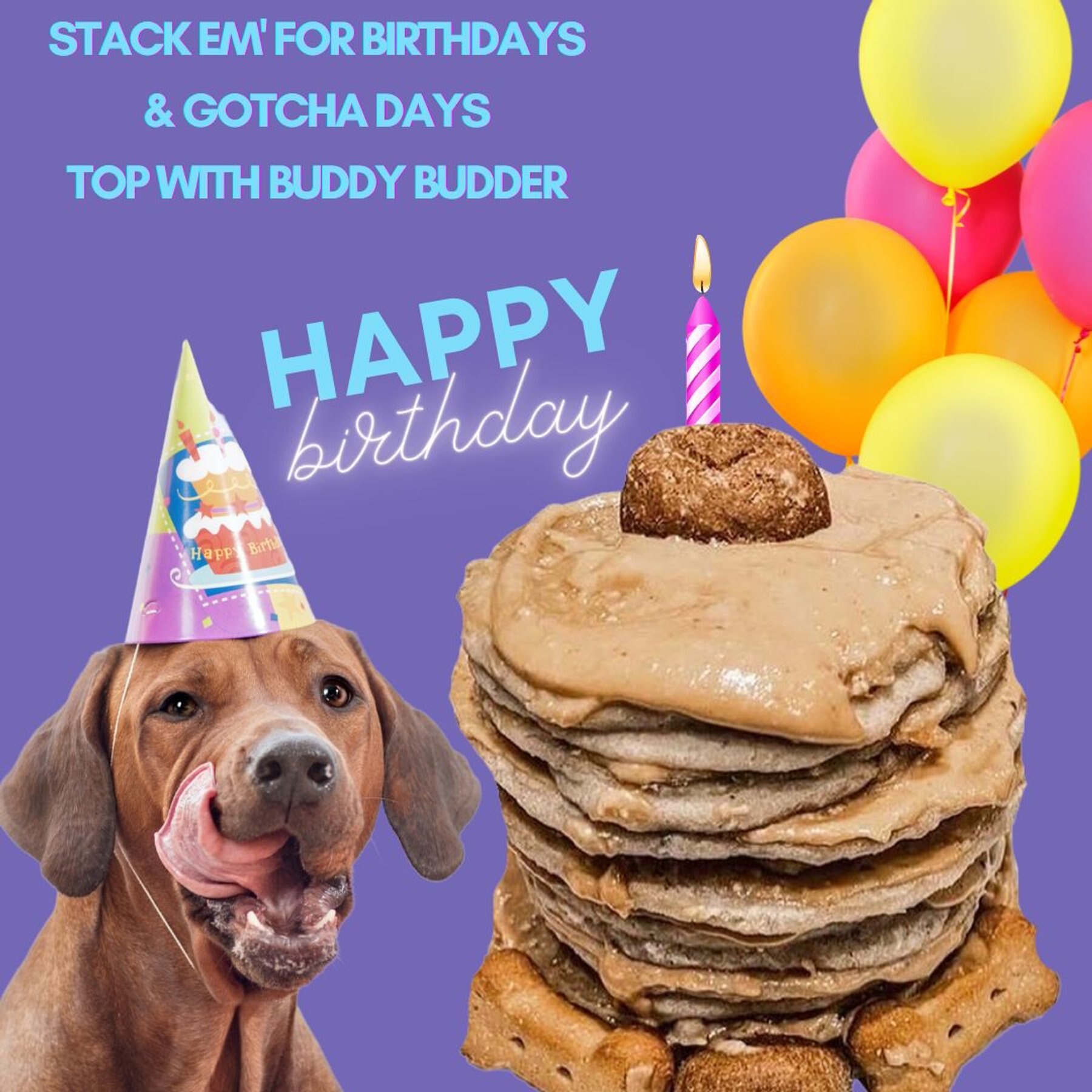 Bark Bistro Company Pooch Pancakes Superberry Snoot Dog Treat, 14-oz bag