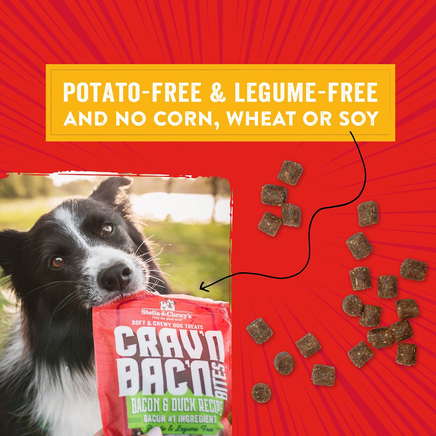 Stella & Chewy's Crav'n Bac'n Bites Bacon & Chicken Recipe Dog Treats