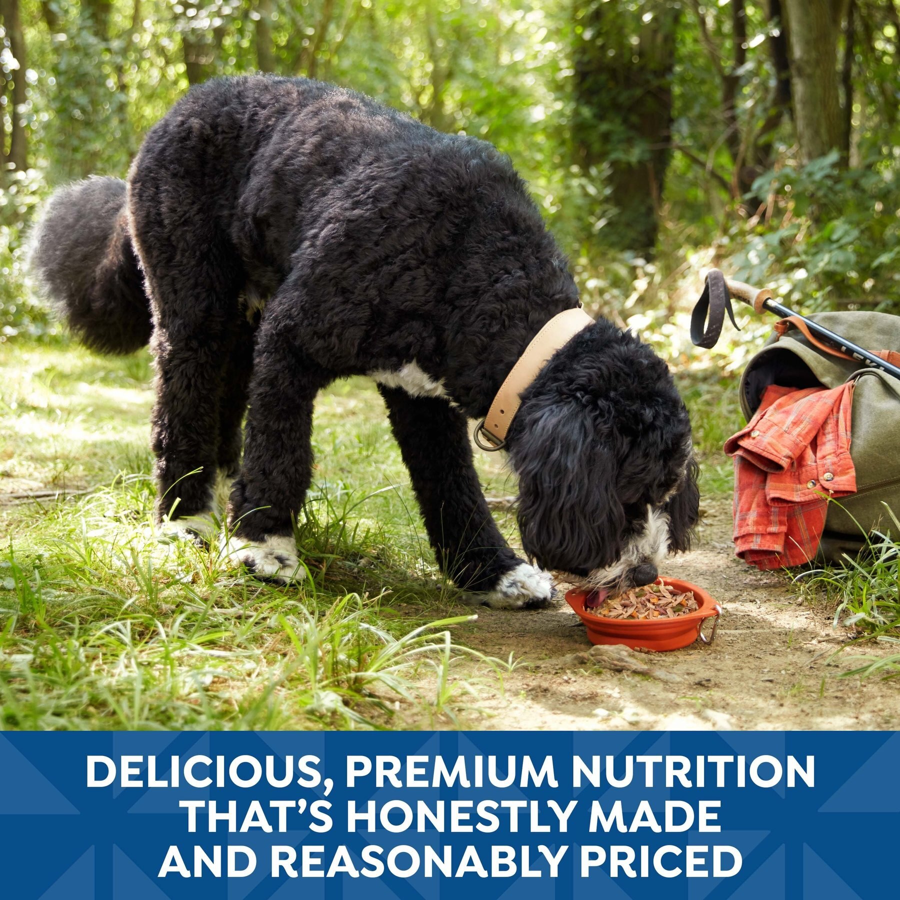 Nature's Recipe Grain-Free Chicken & Venison Recipe in Broth Wet Dog Food