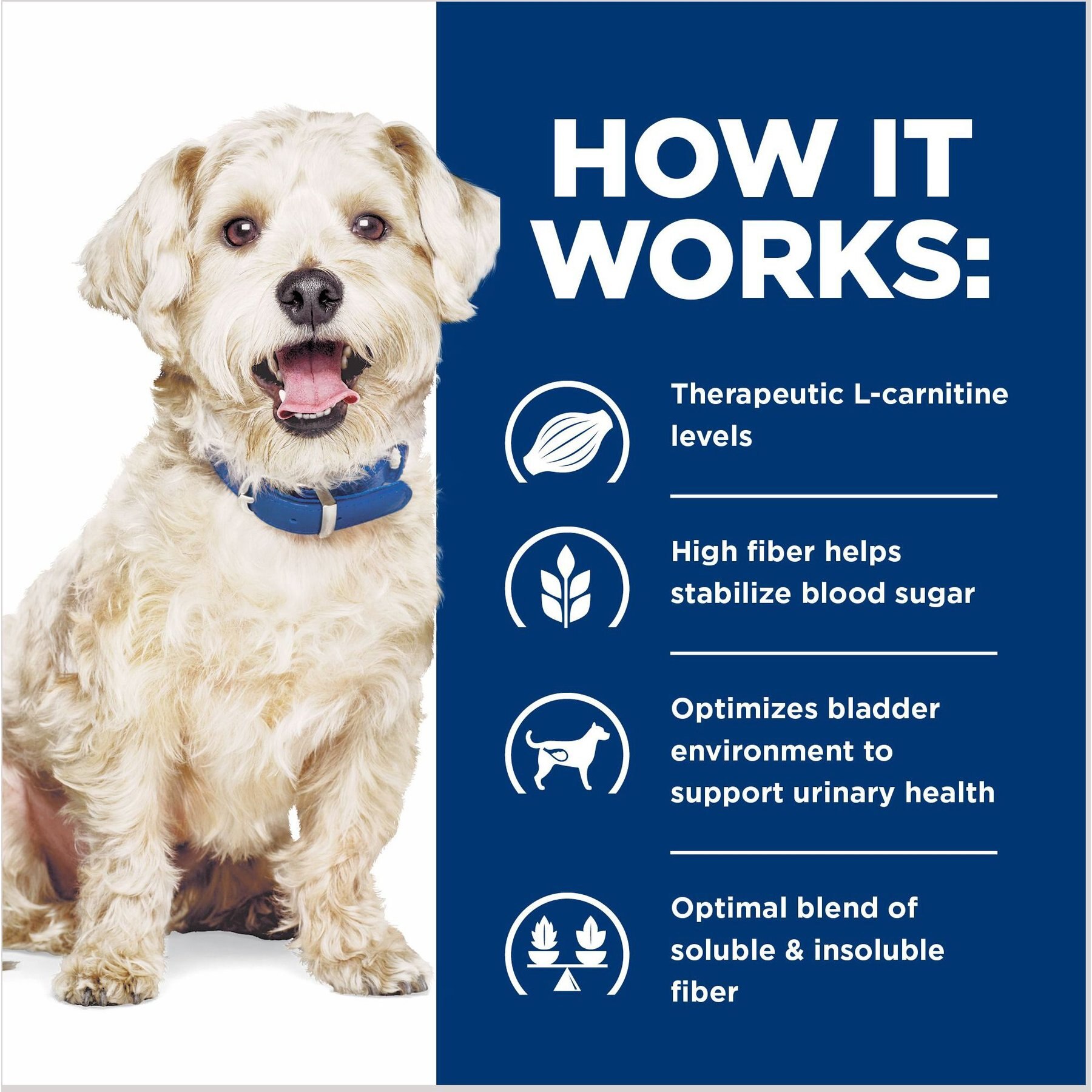 Hill's Prescription Diet w/d Multi-Benefit Digestive, Weight, Glucose, Urinary Management Vegetable & Chicken Stew Canned Dog Food