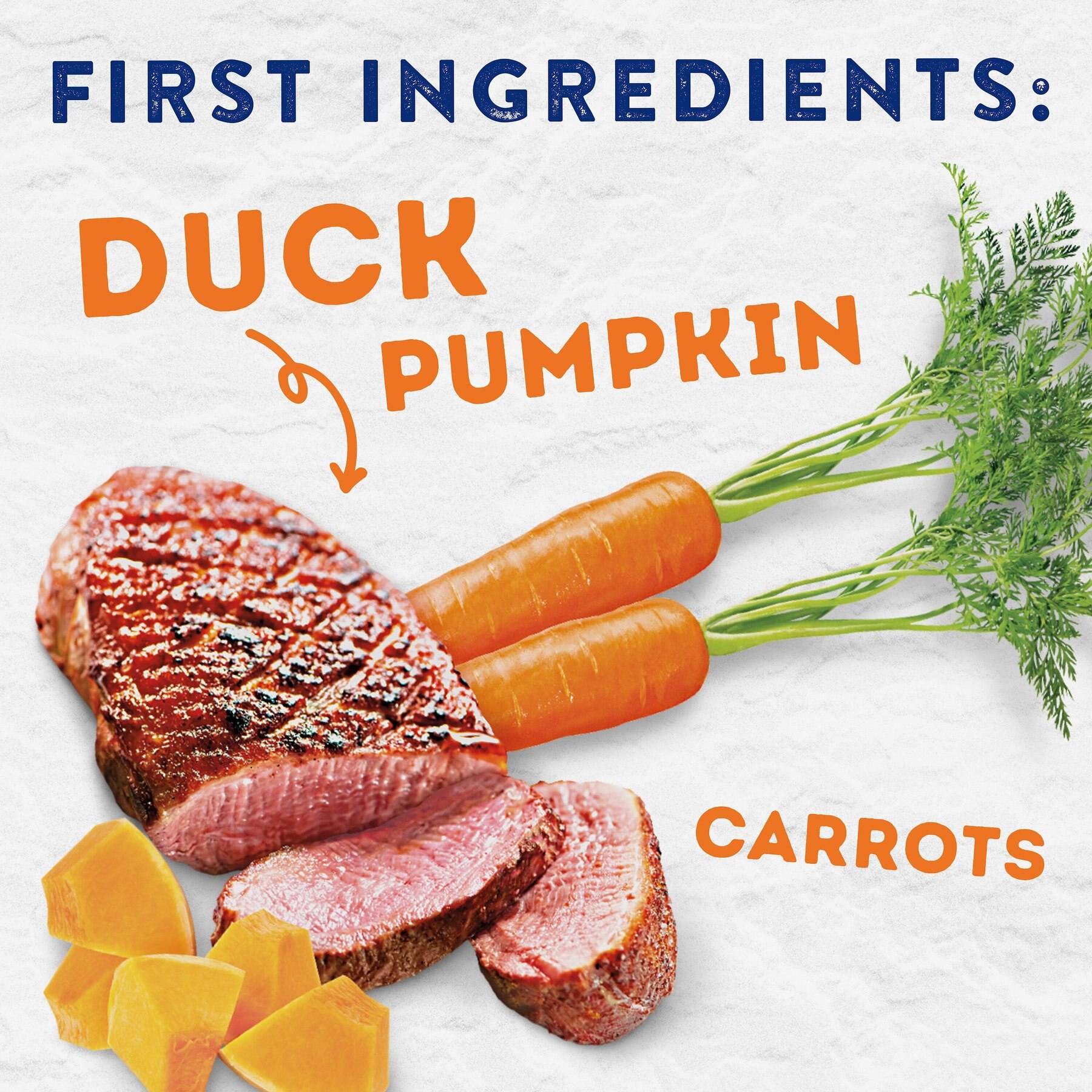 Natural Balance Platefulls Savory Duck & Pumpkin Recipe Wet Dog Food