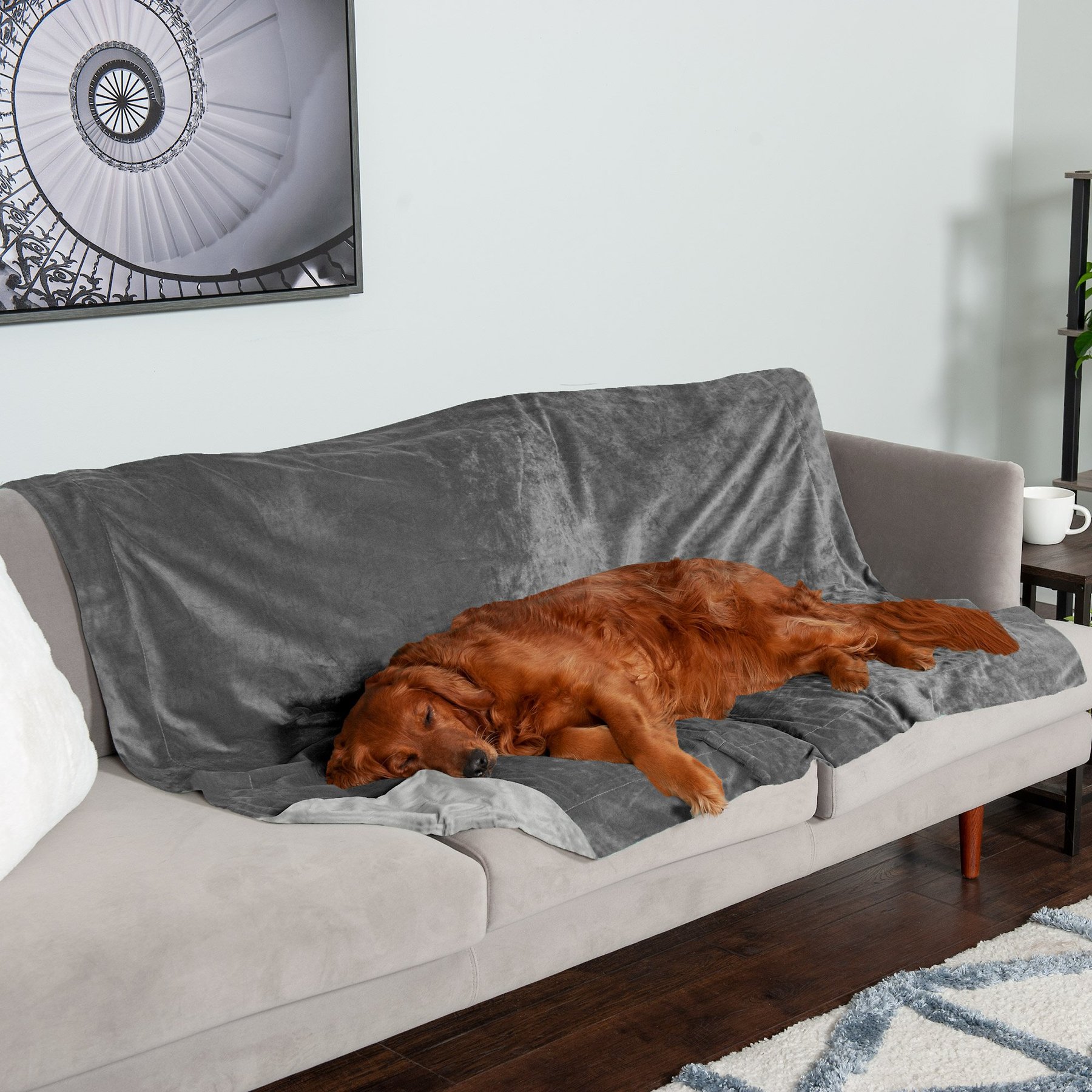 FurHaven Waterproof Velvet Dog & Cat Throw Blanket