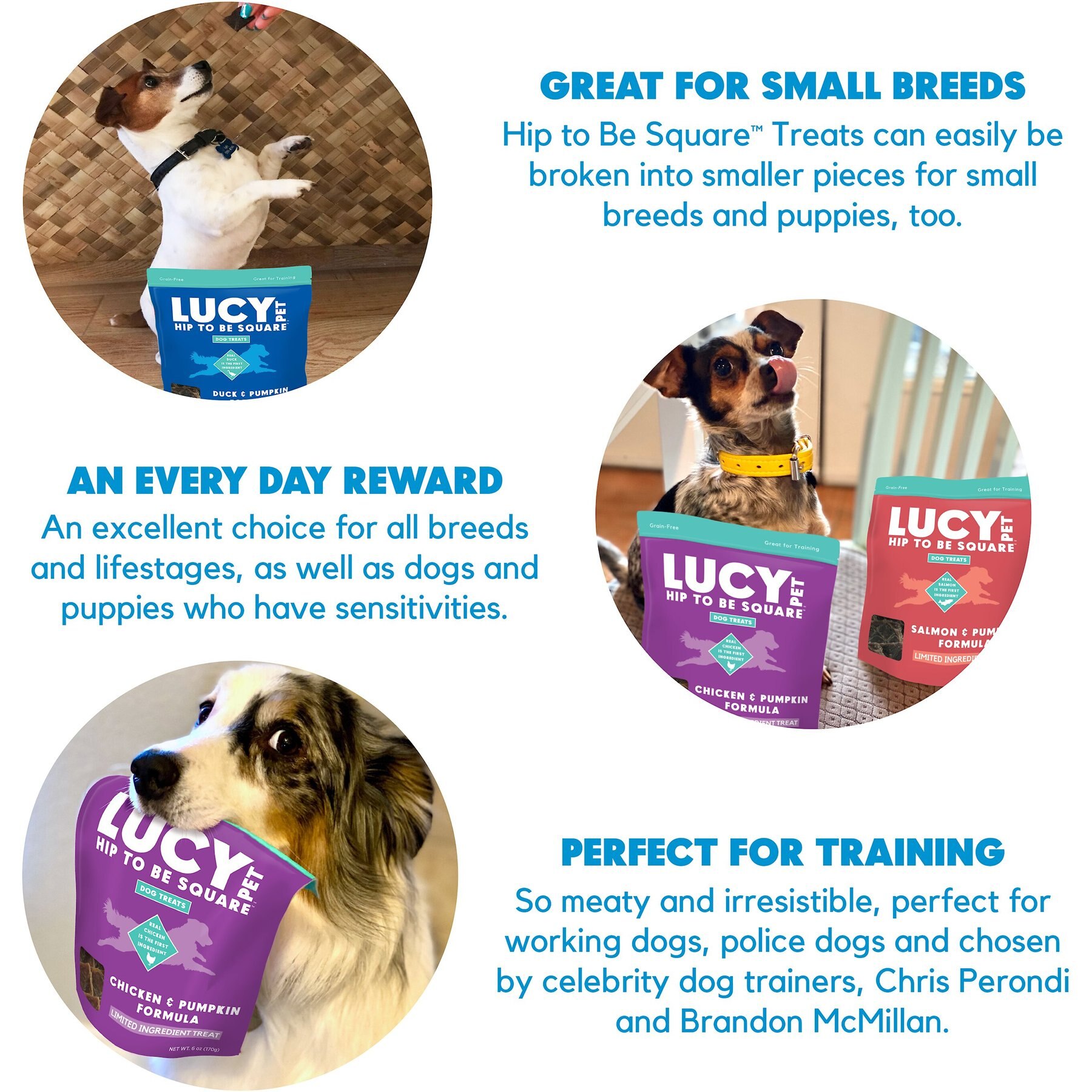 Lucy Pet Products Hip To Be Square Duck & Pumpkin Formula Grain-Free Dog Treats